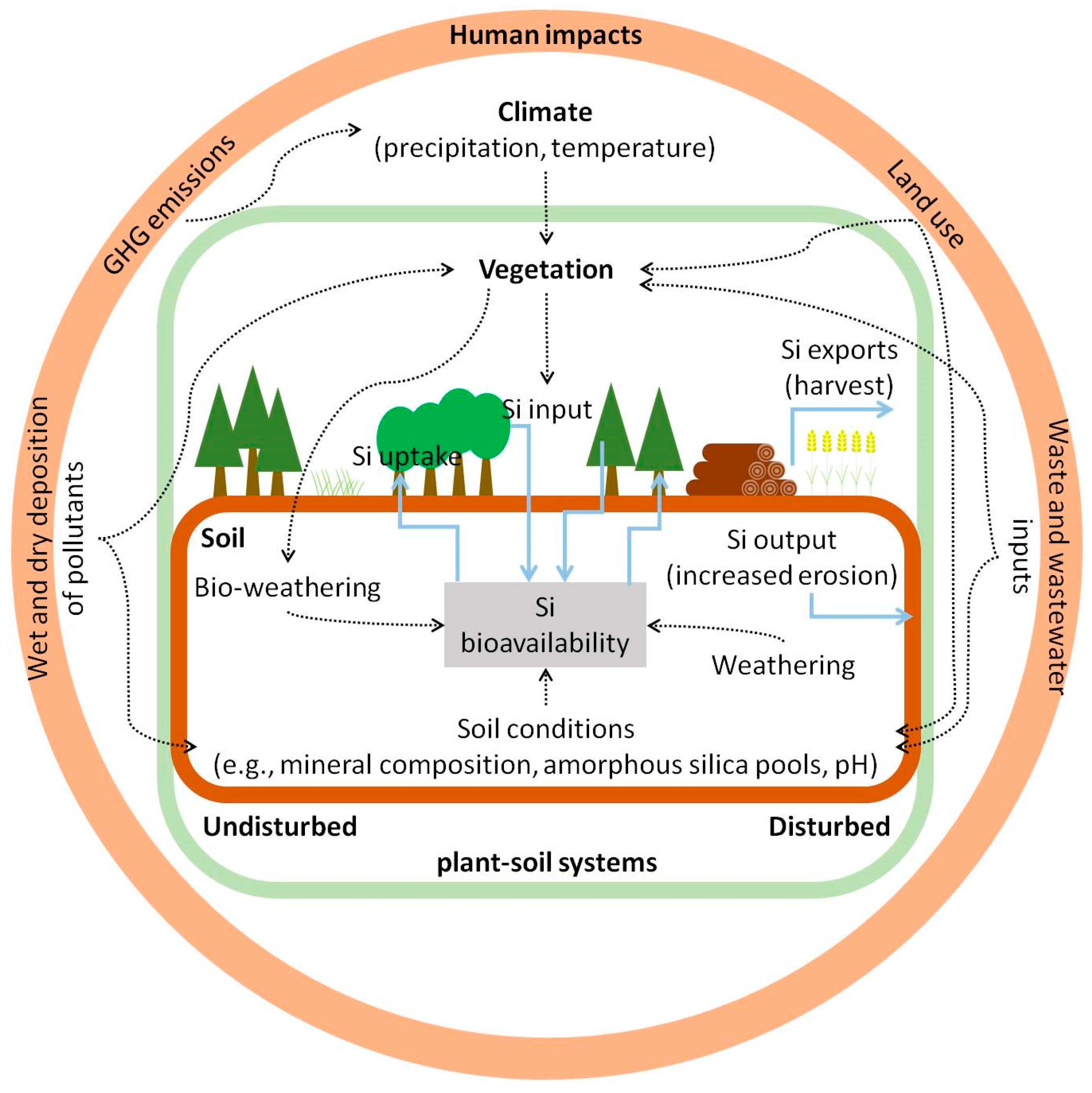 Plants 10 00652 g004 Plants 10 00652 g004