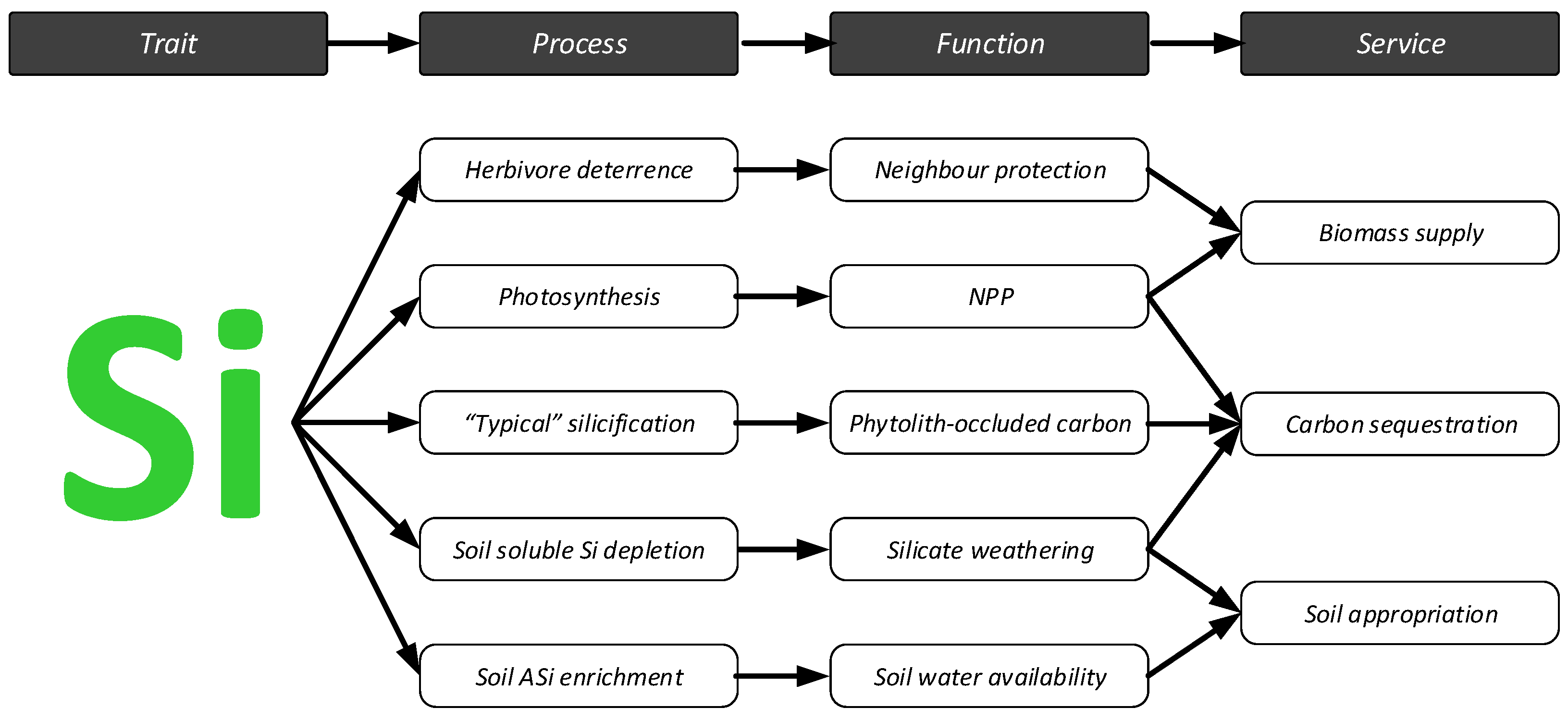 Plants 10 00652 g005 Plants 10 00652 g005