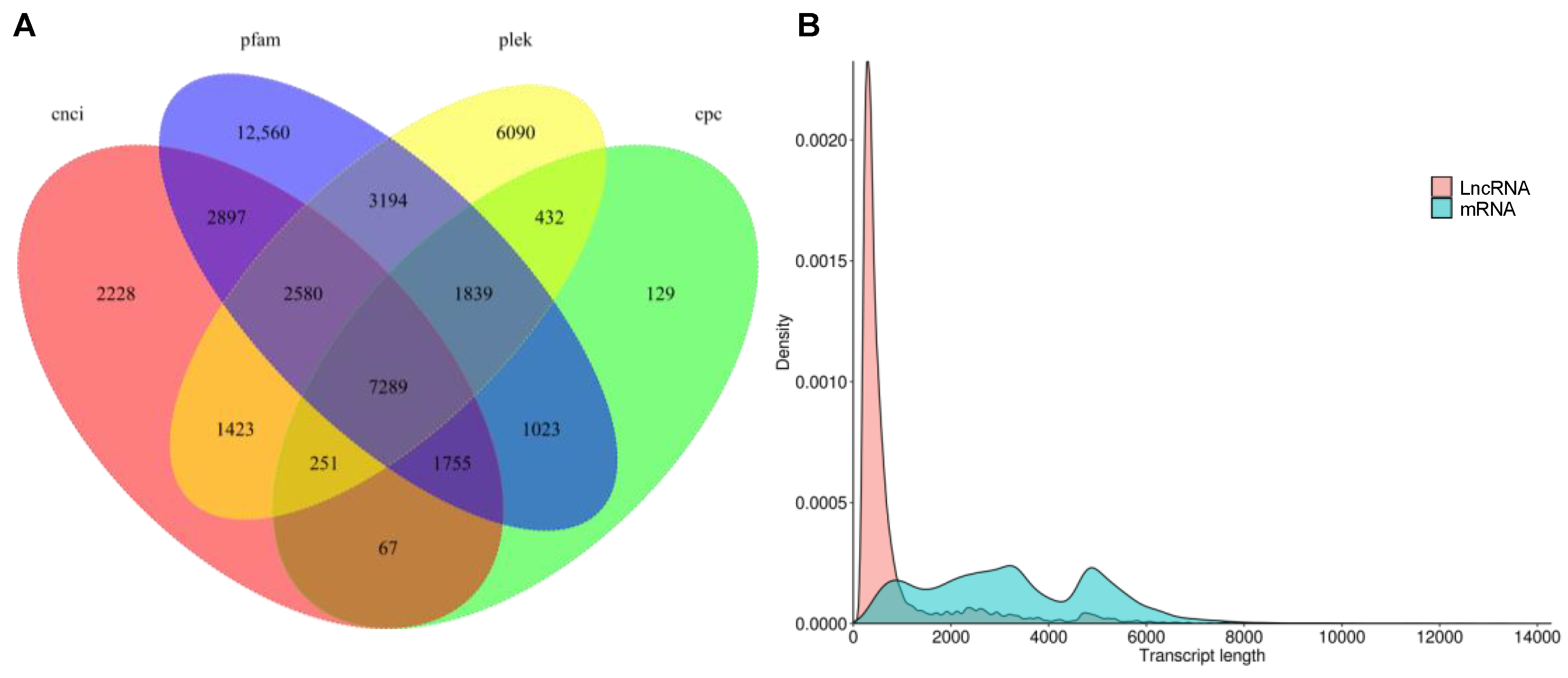 Plants 10 00655 g006