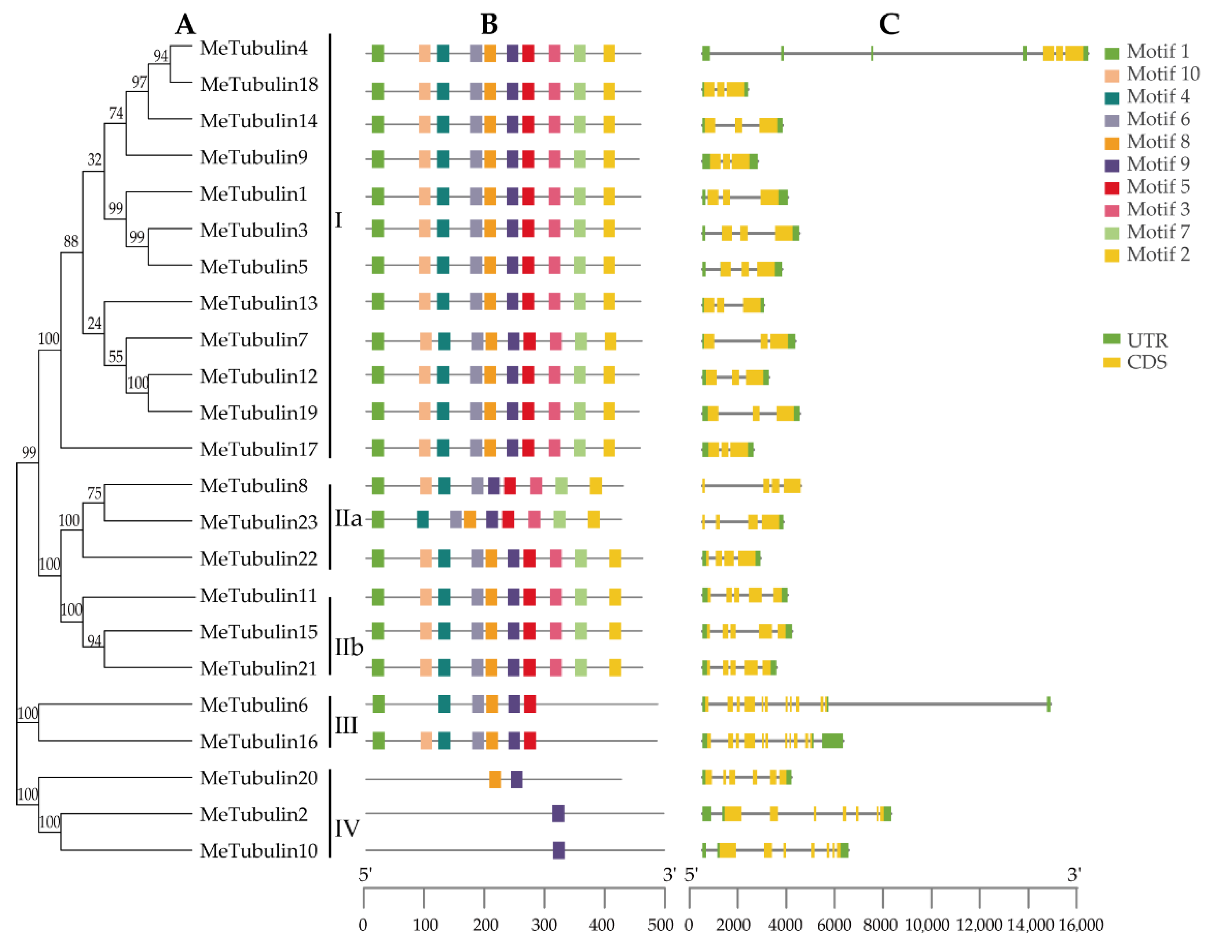 Plants 10 00668 g003