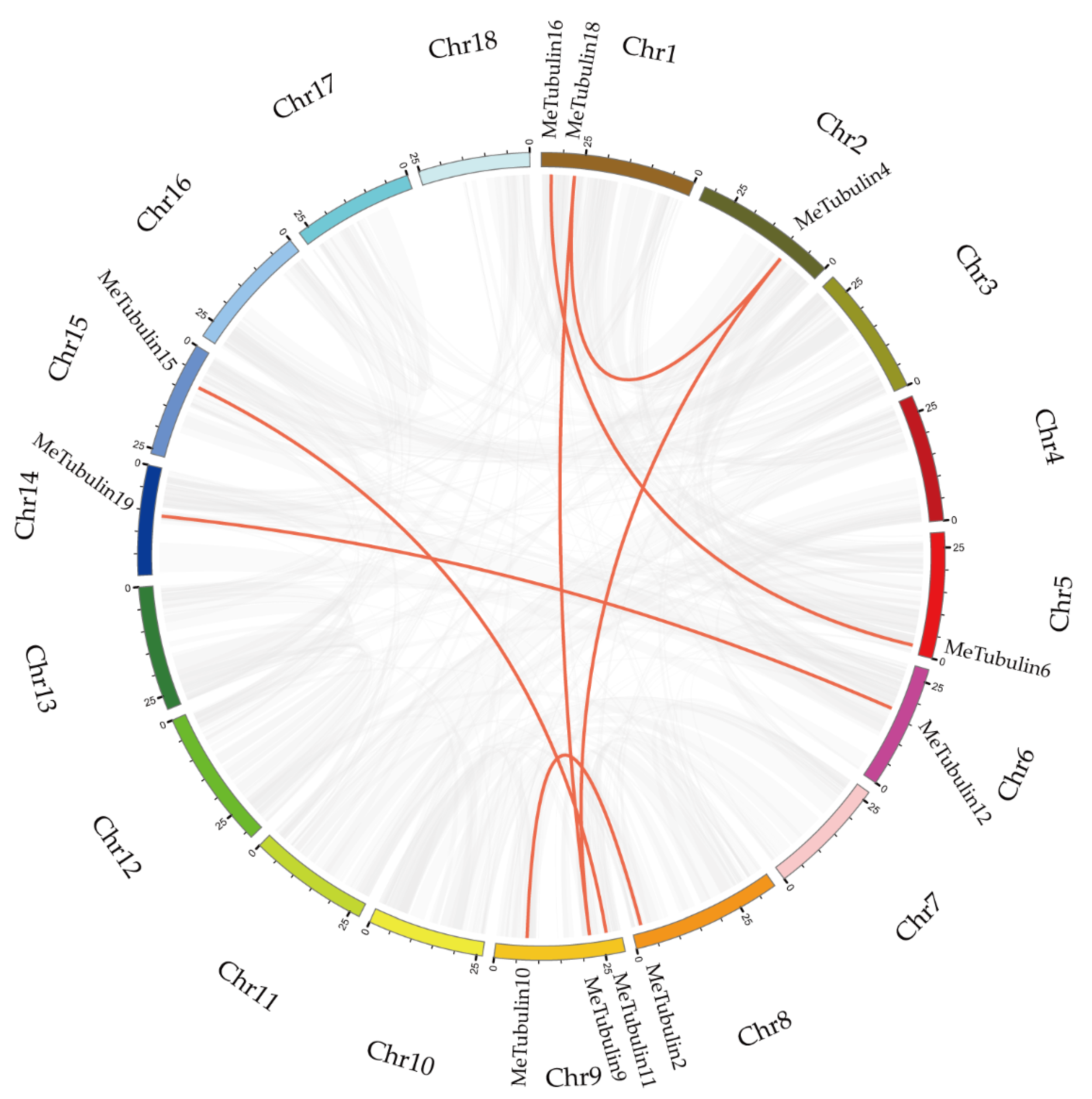 Plants 10 00668 g004