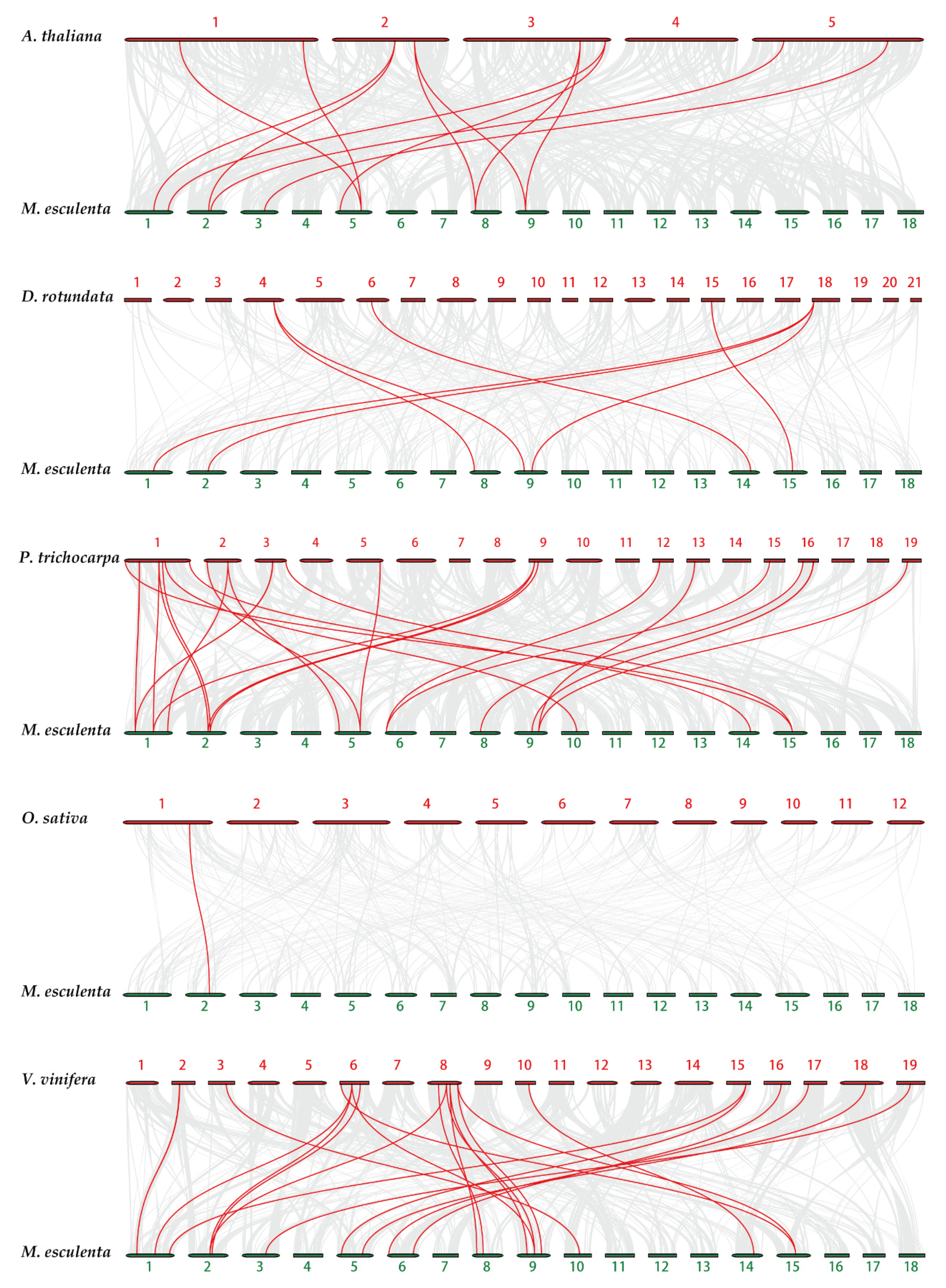 Plants 10 00668 g005