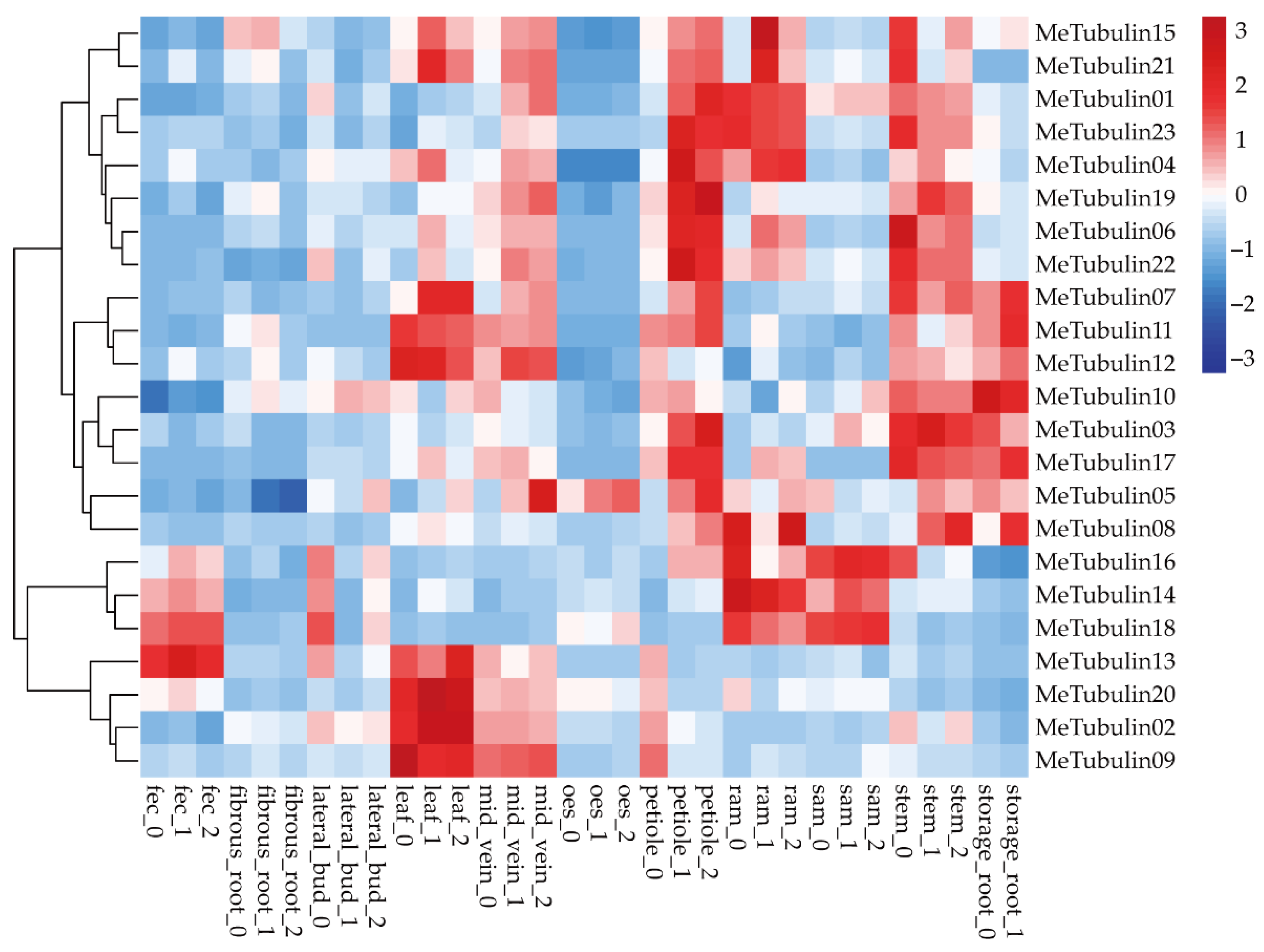 Plants 10 00668 g006