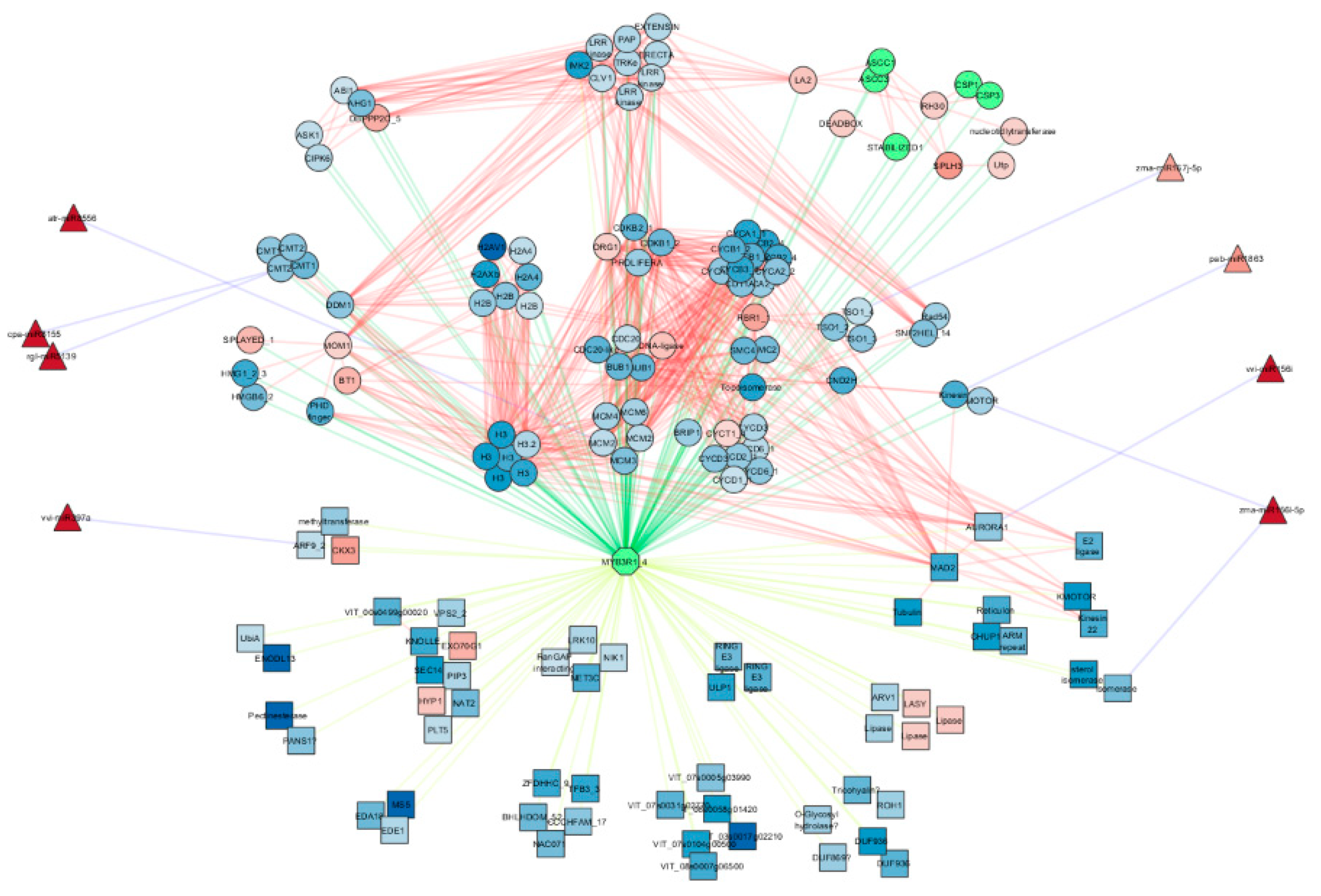 Plants 10 00669 g004 Plants 10 00669 g004