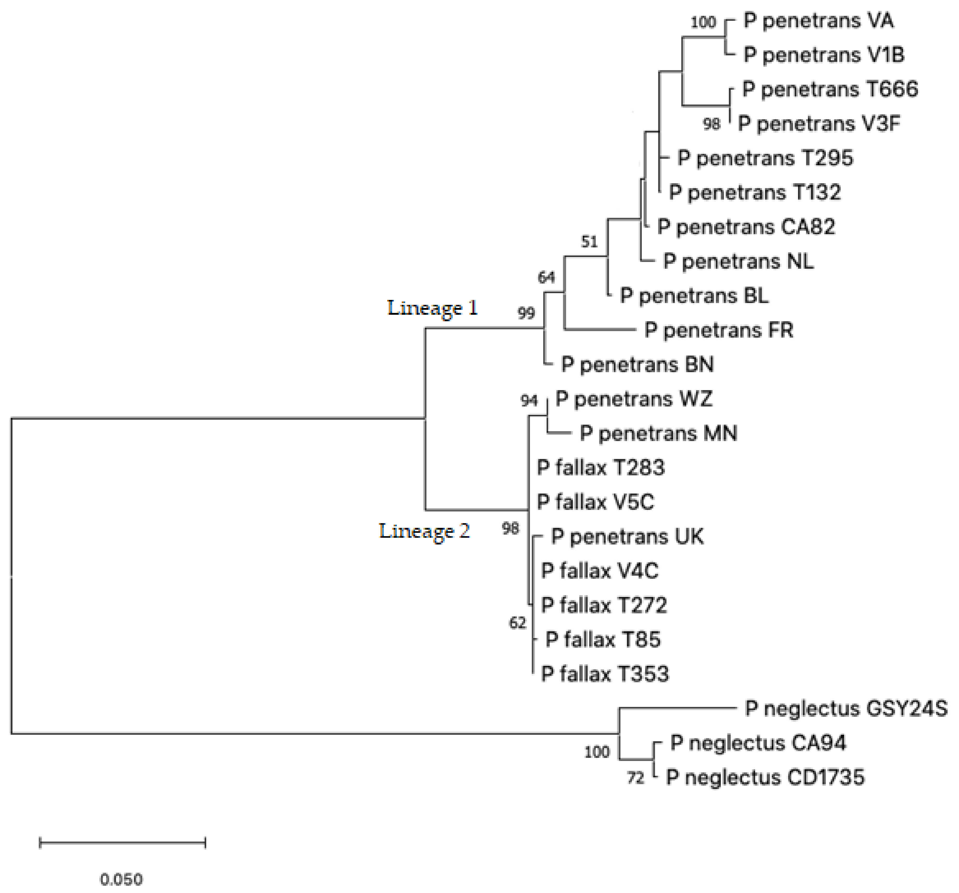 Plants 10 00674 g001