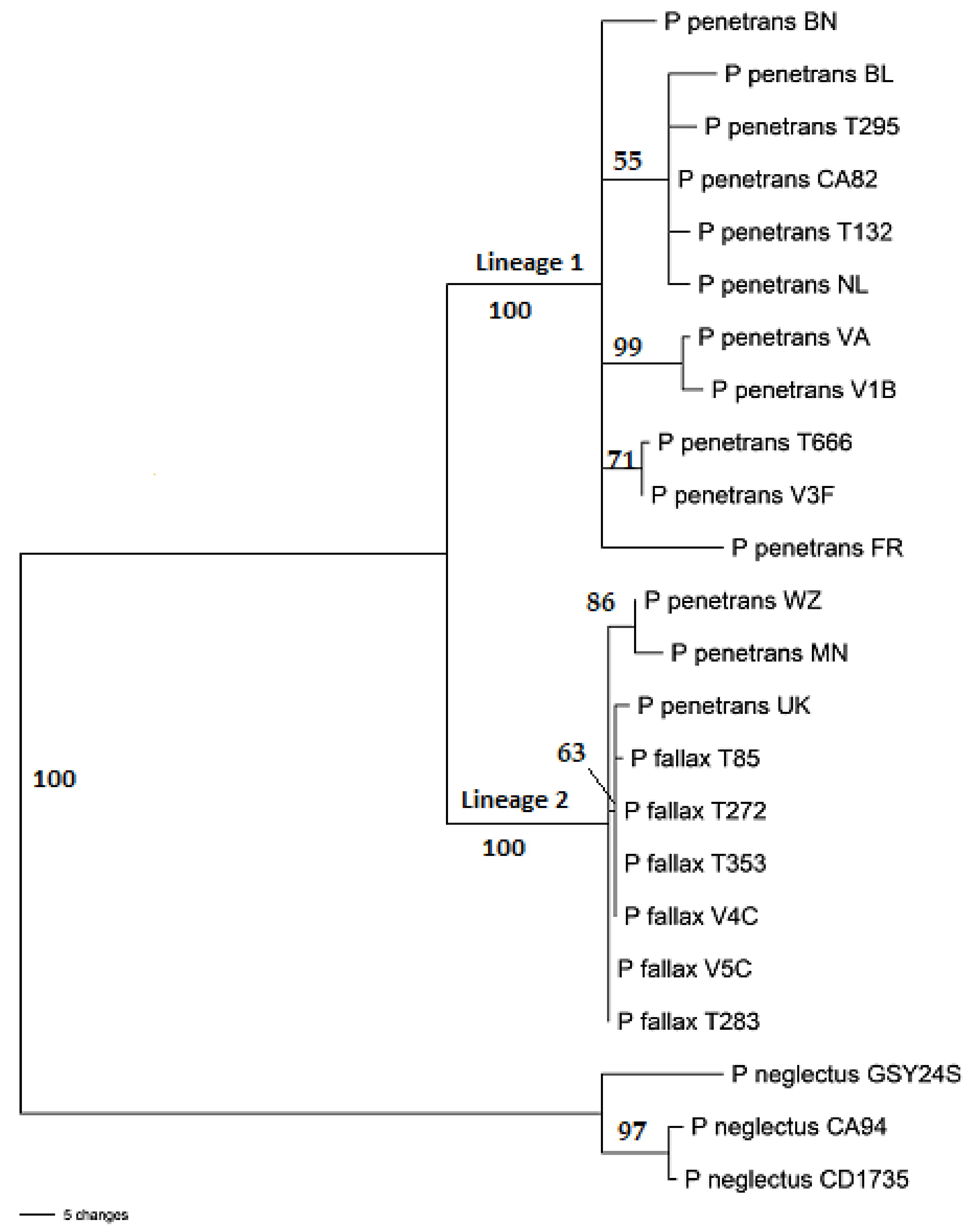 Plants 10 00674 g002