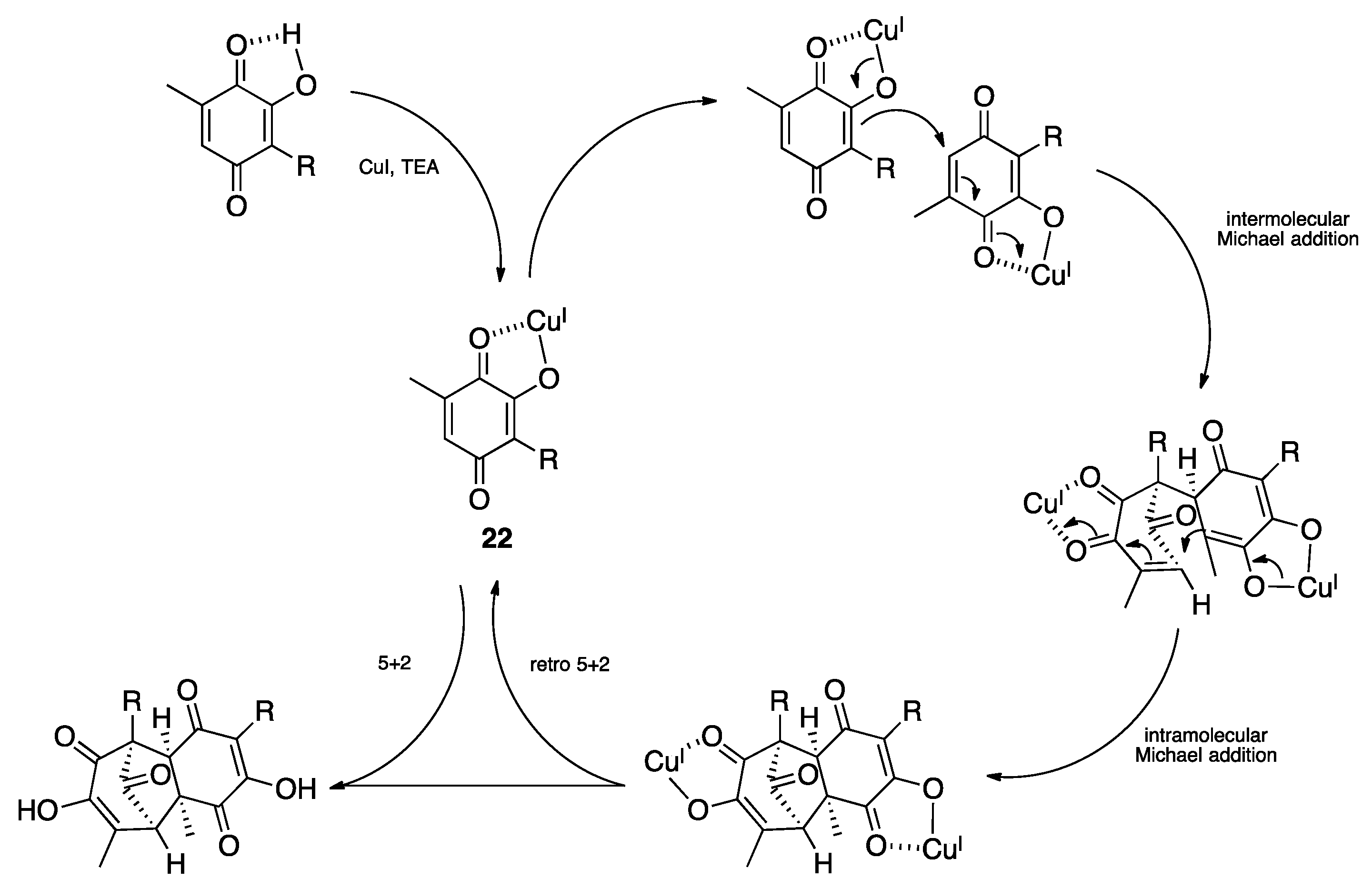 Plants 10 00677 sch003