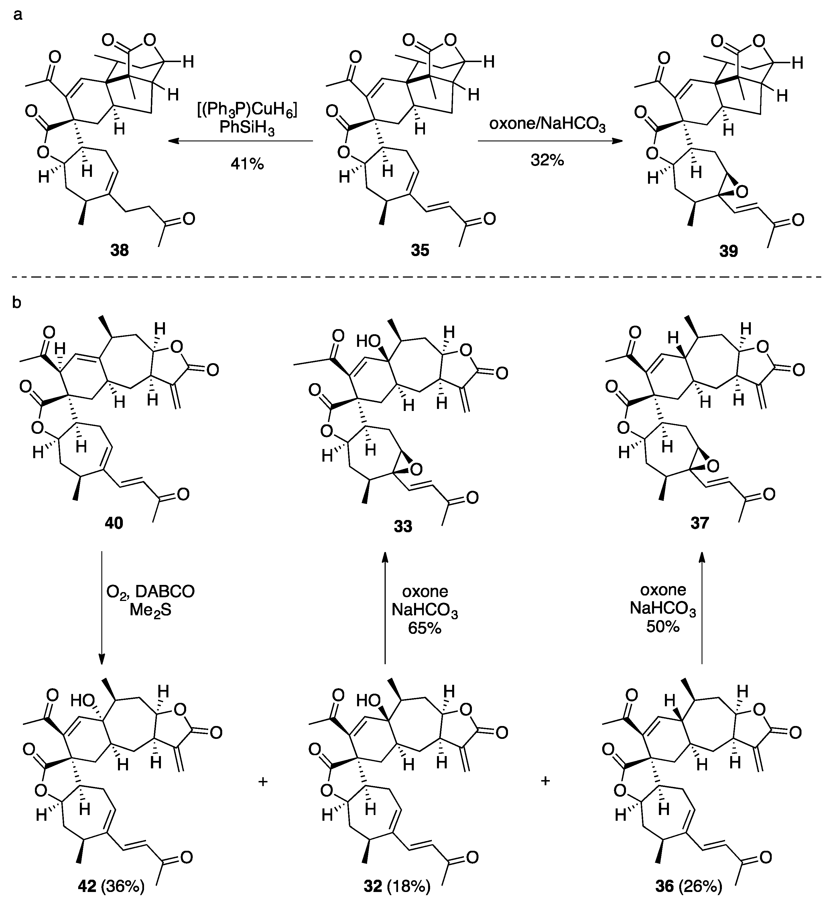 Plants 10 00677 sch008