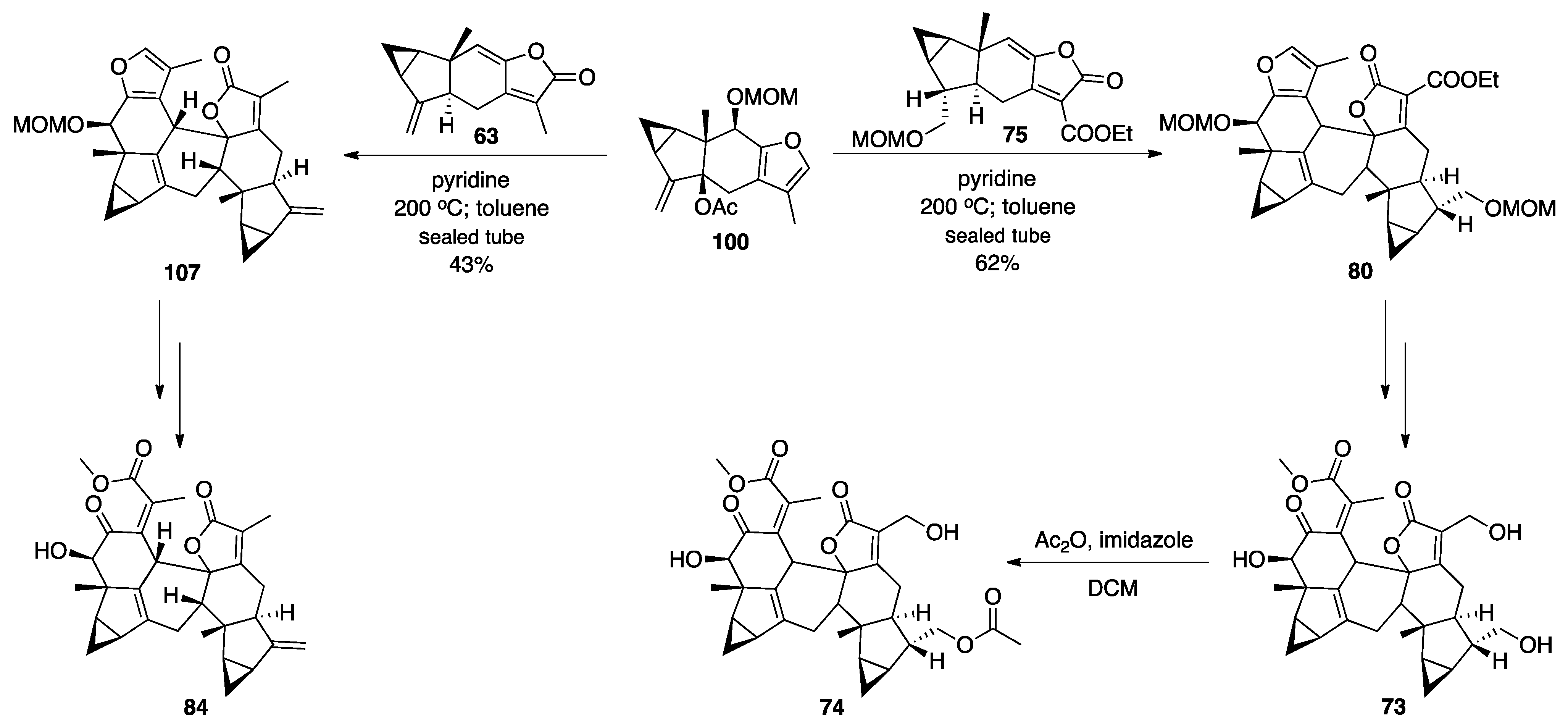 Plants 10 00677 sch018