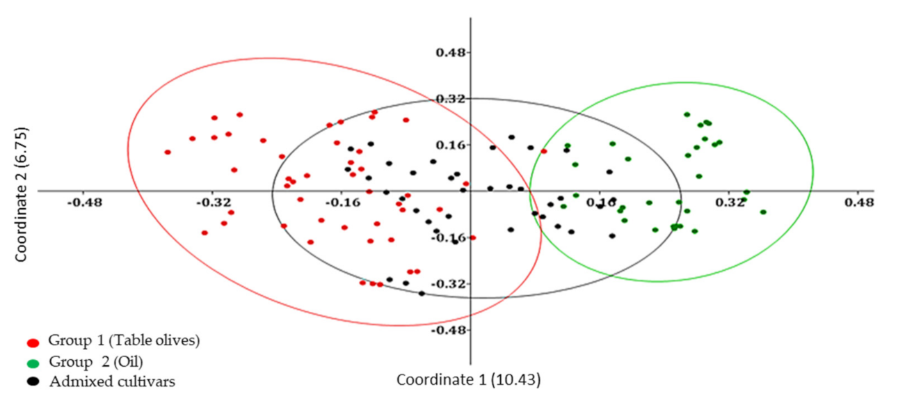 Plants 10 00678 g002