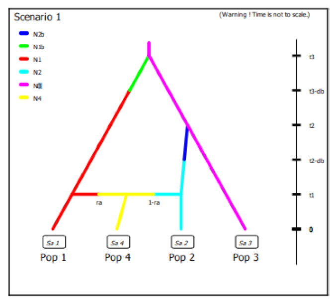Plants 10 00678 g004