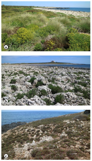 Plants 10 00680 g0a2