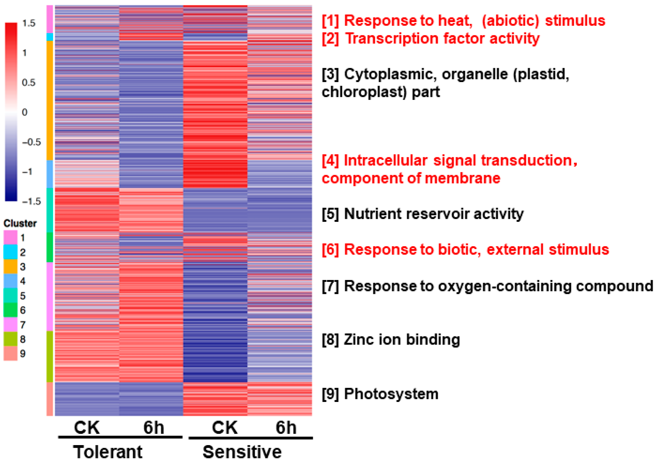 Plants 10 00693 g006 Plants 10 00693 g006