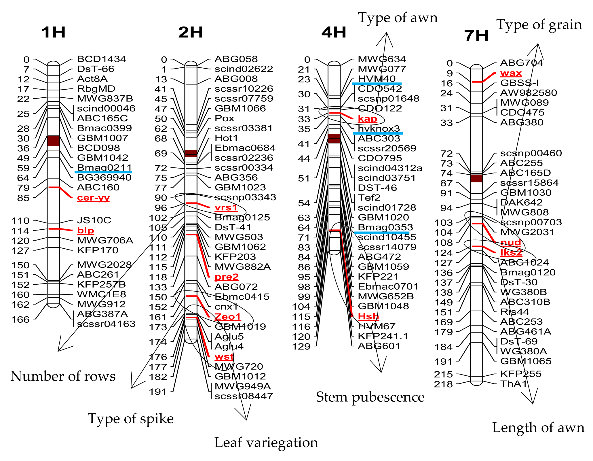 Plants 10 00694 g003