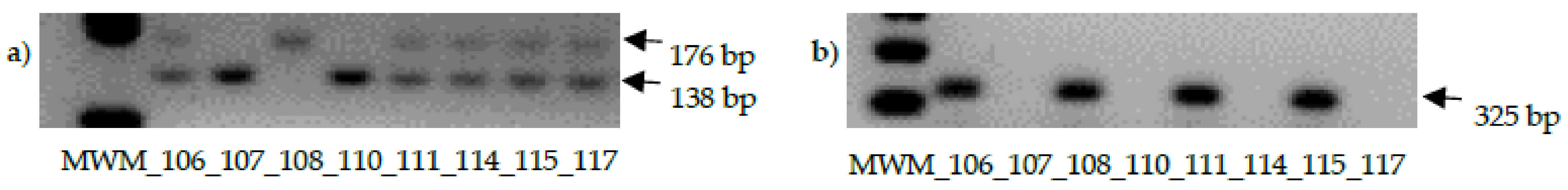 Plants 10 00694 g005