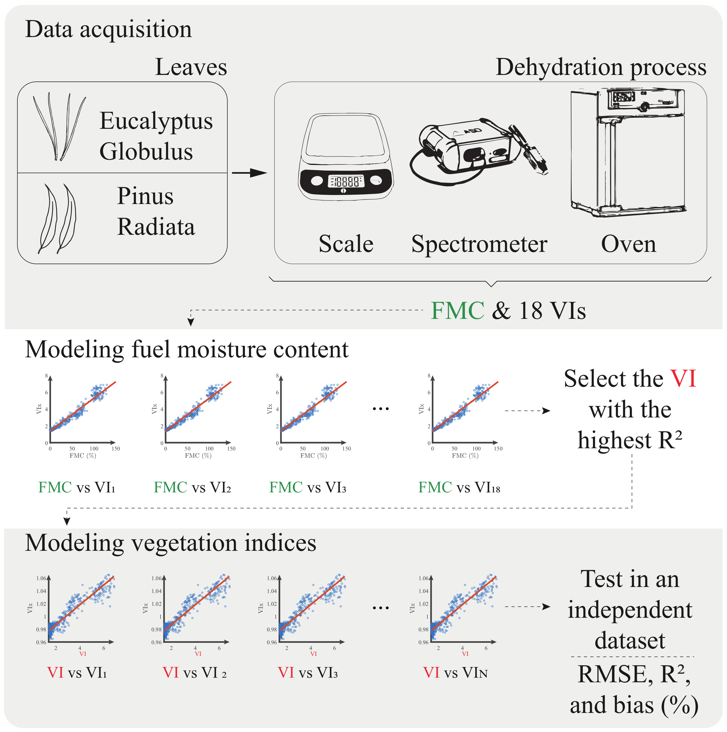 Plants 10 00697 g001