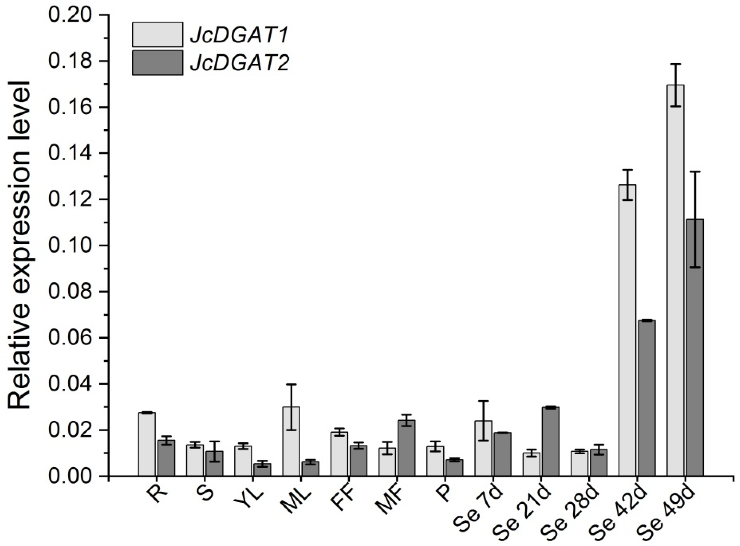 Plants 10 00699 g001