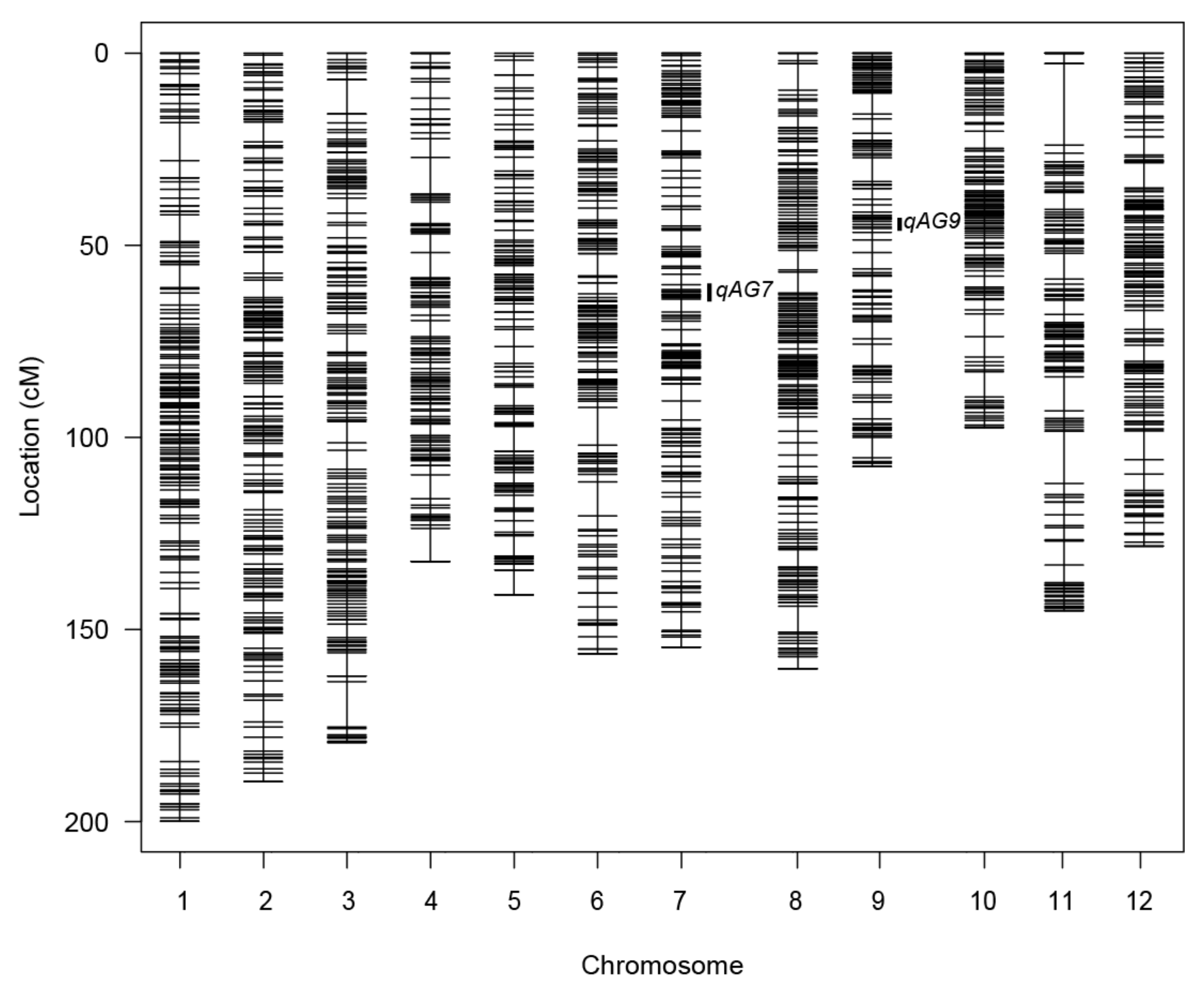 Plants 10 00705 g002