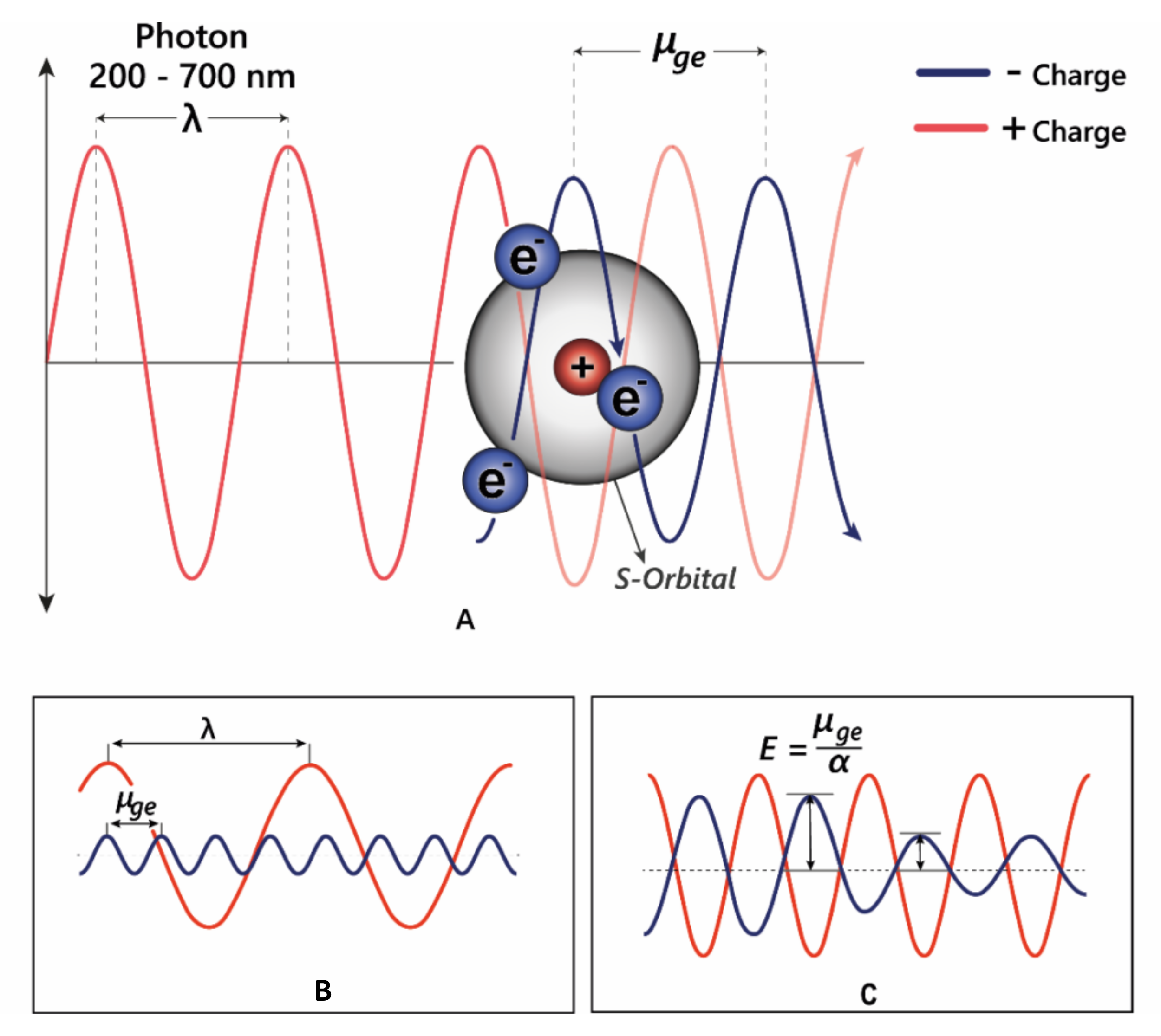 Plants 10 00726 g005