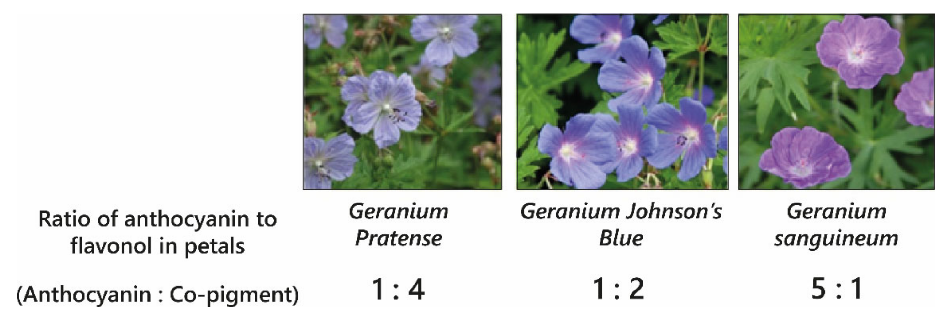 Plants 10 00726 g007