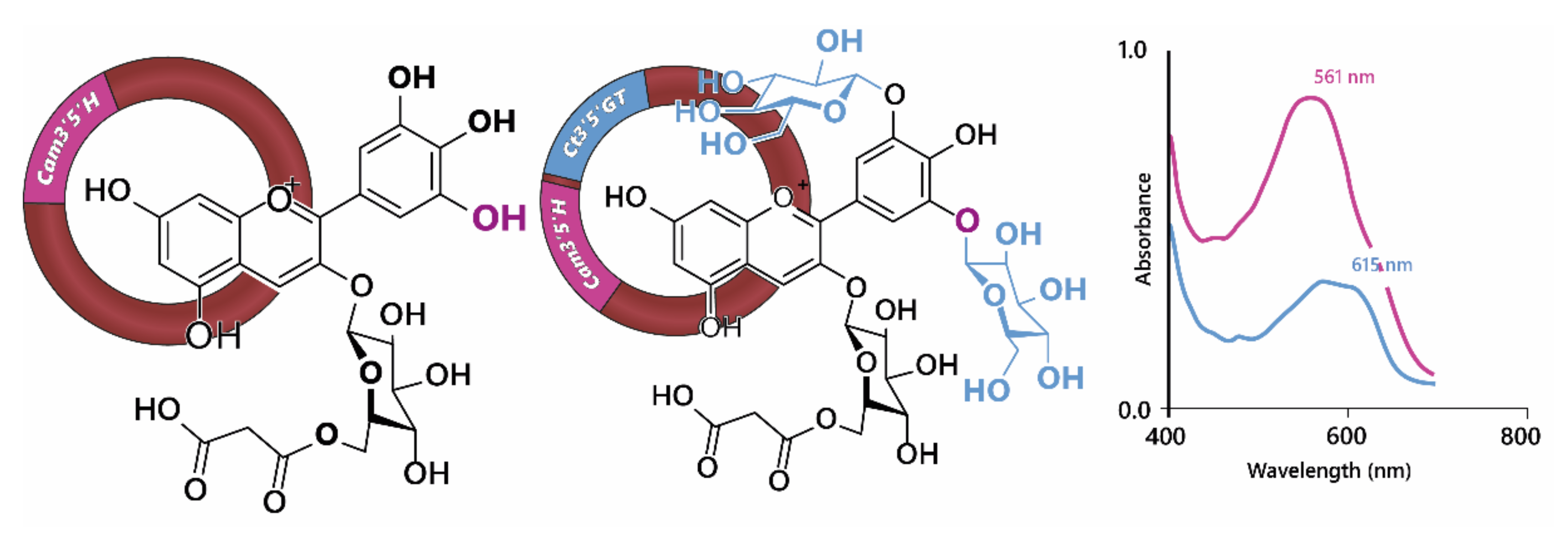 Plants 10 00726 g008
