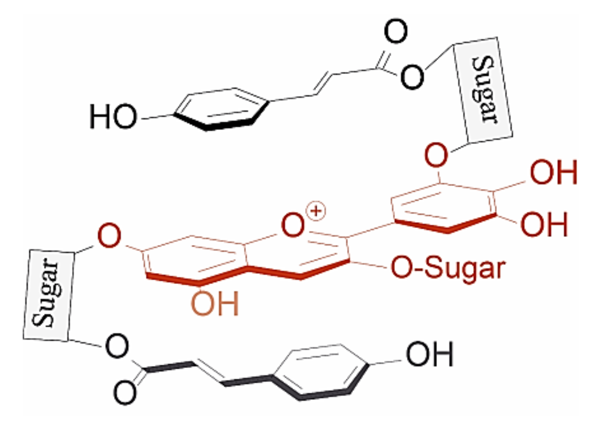 Plants 10 00726 g009