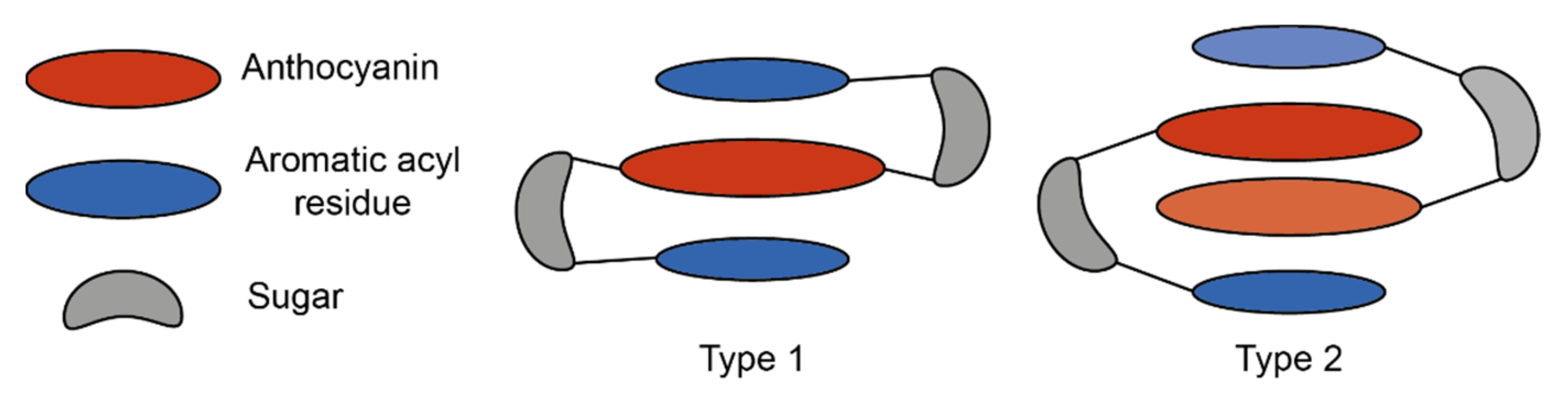 Plants 10 00726 g010