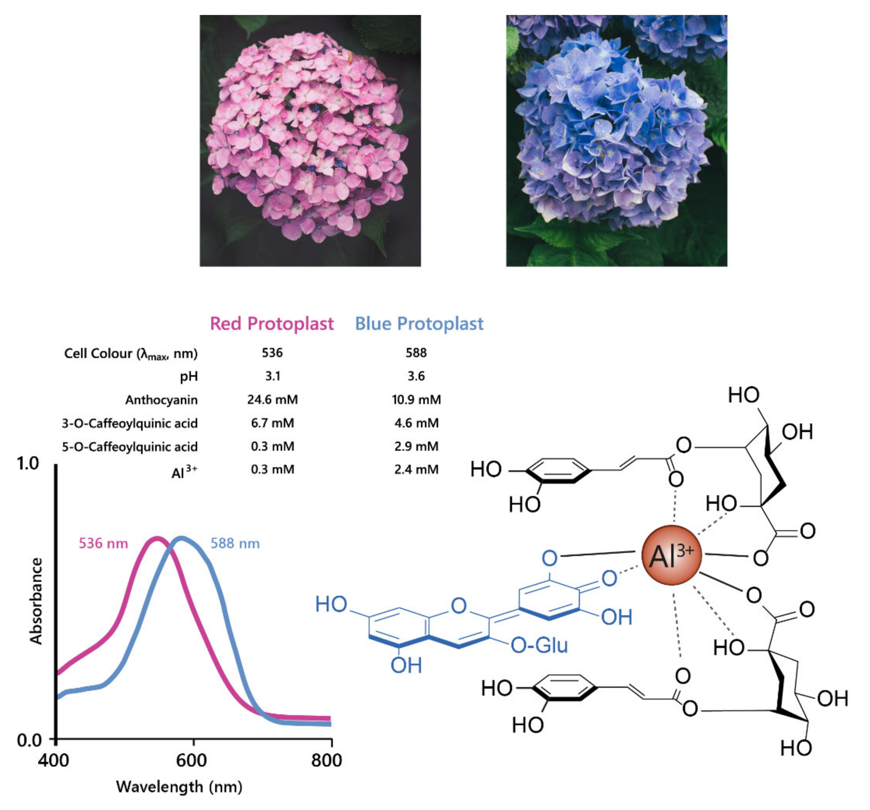 Plants 10 00726 g013