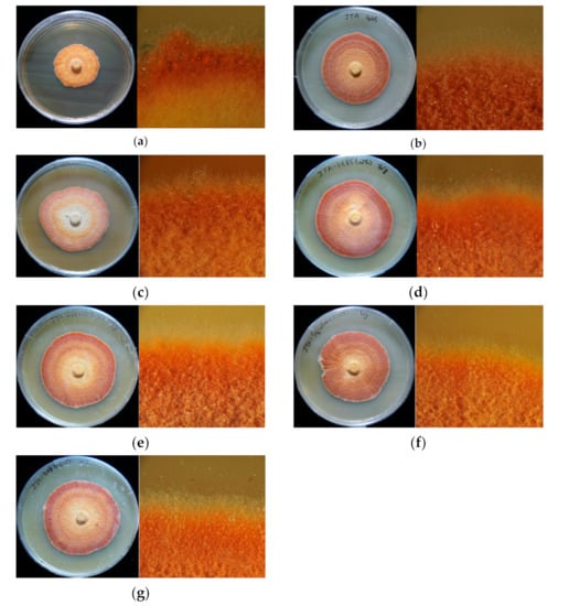 Plants 10 00737 g0a1