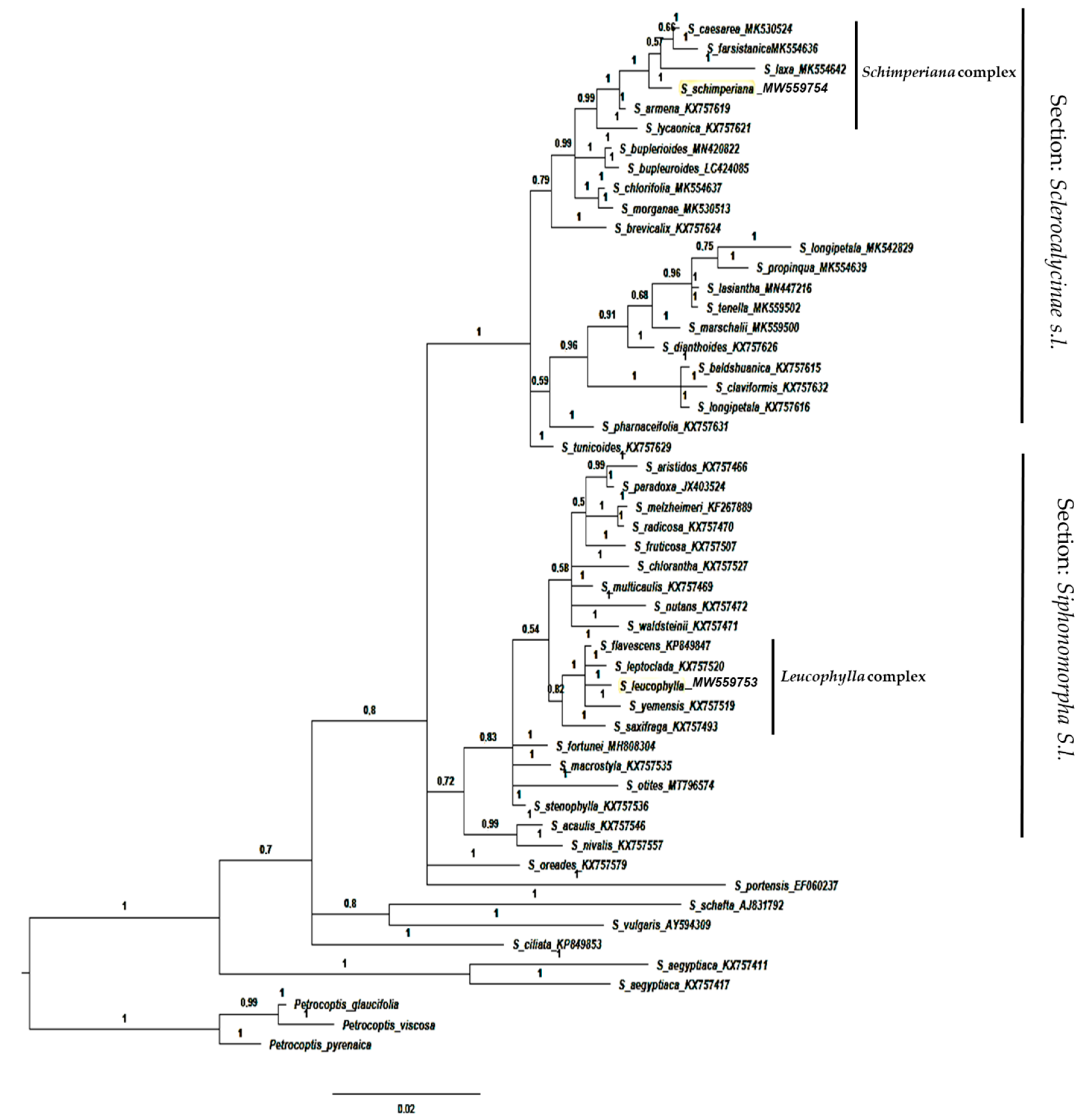 Plants 10 00740 g008