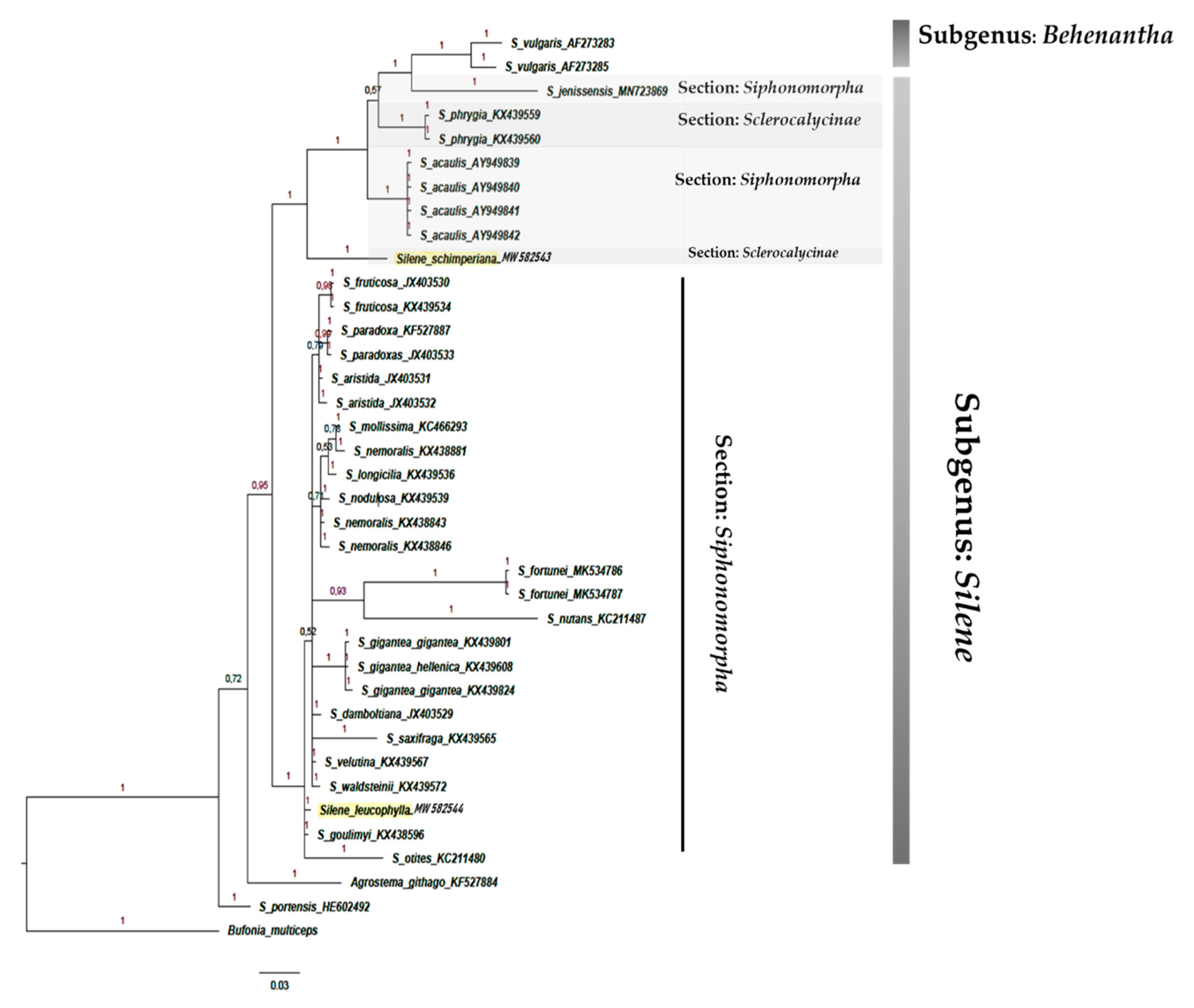 Plants 10 00740 g010