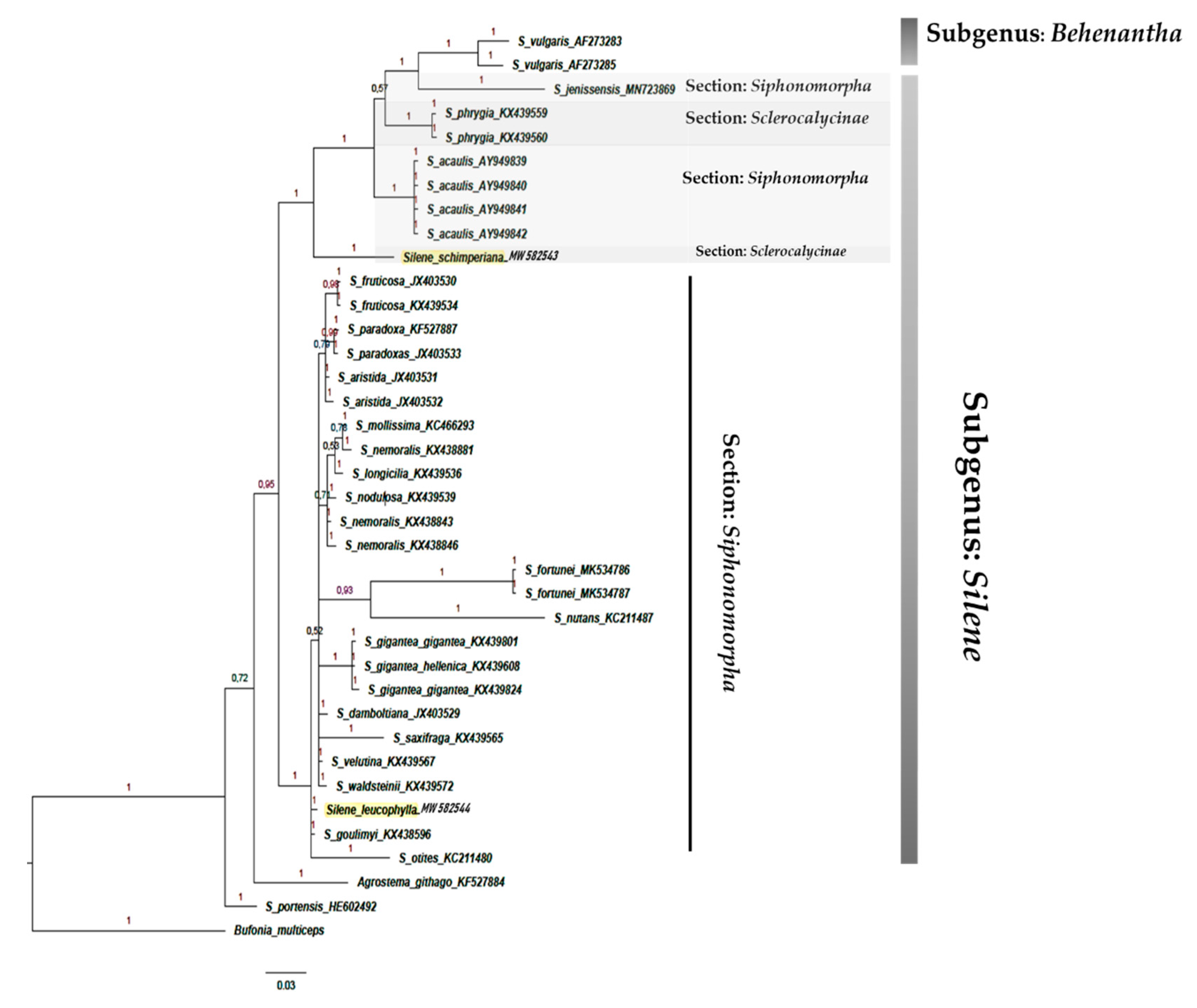 Plants 10 00740 g011