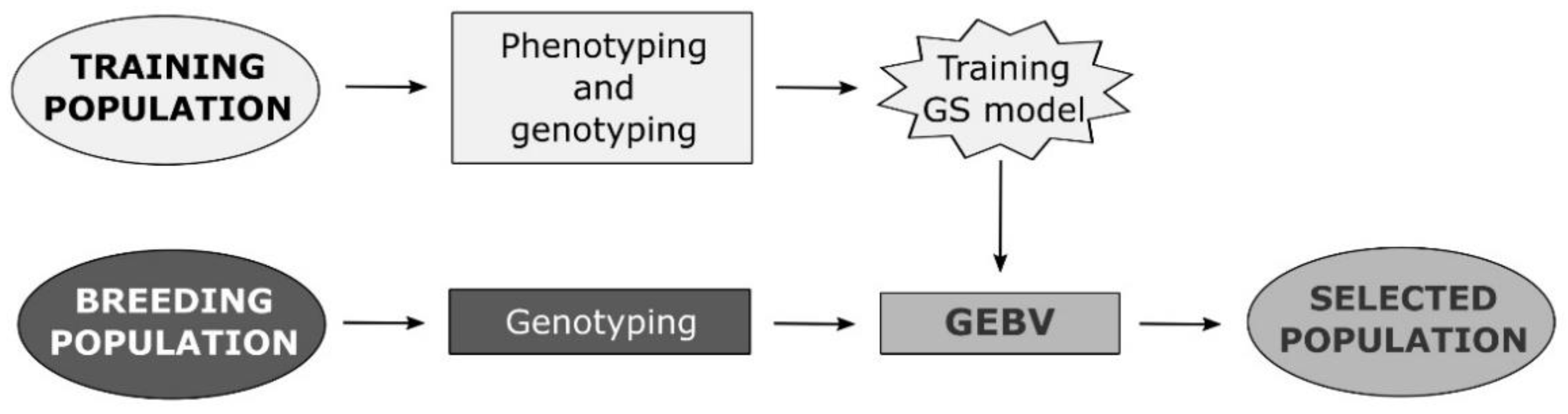 Plants 10 00745 g001 Plants 10 00745 g001