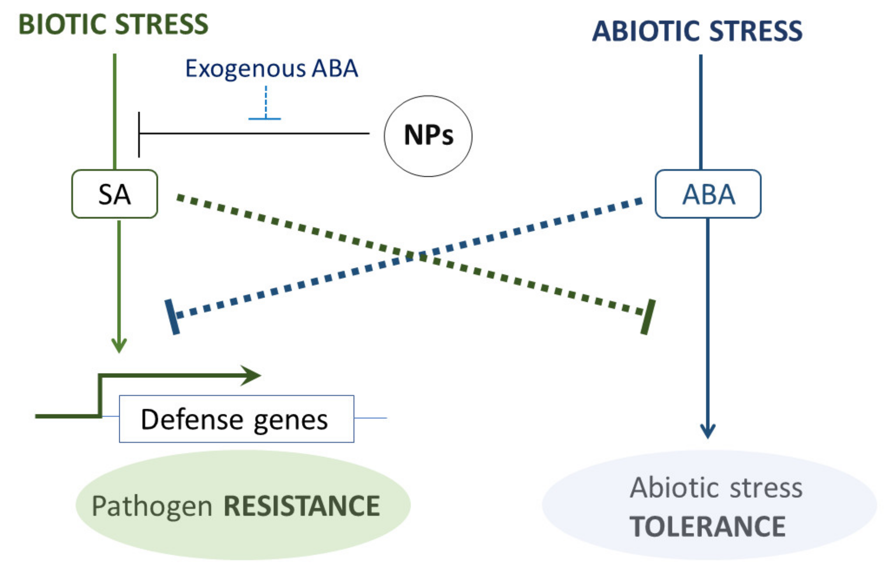 Plants 10 00751 g006