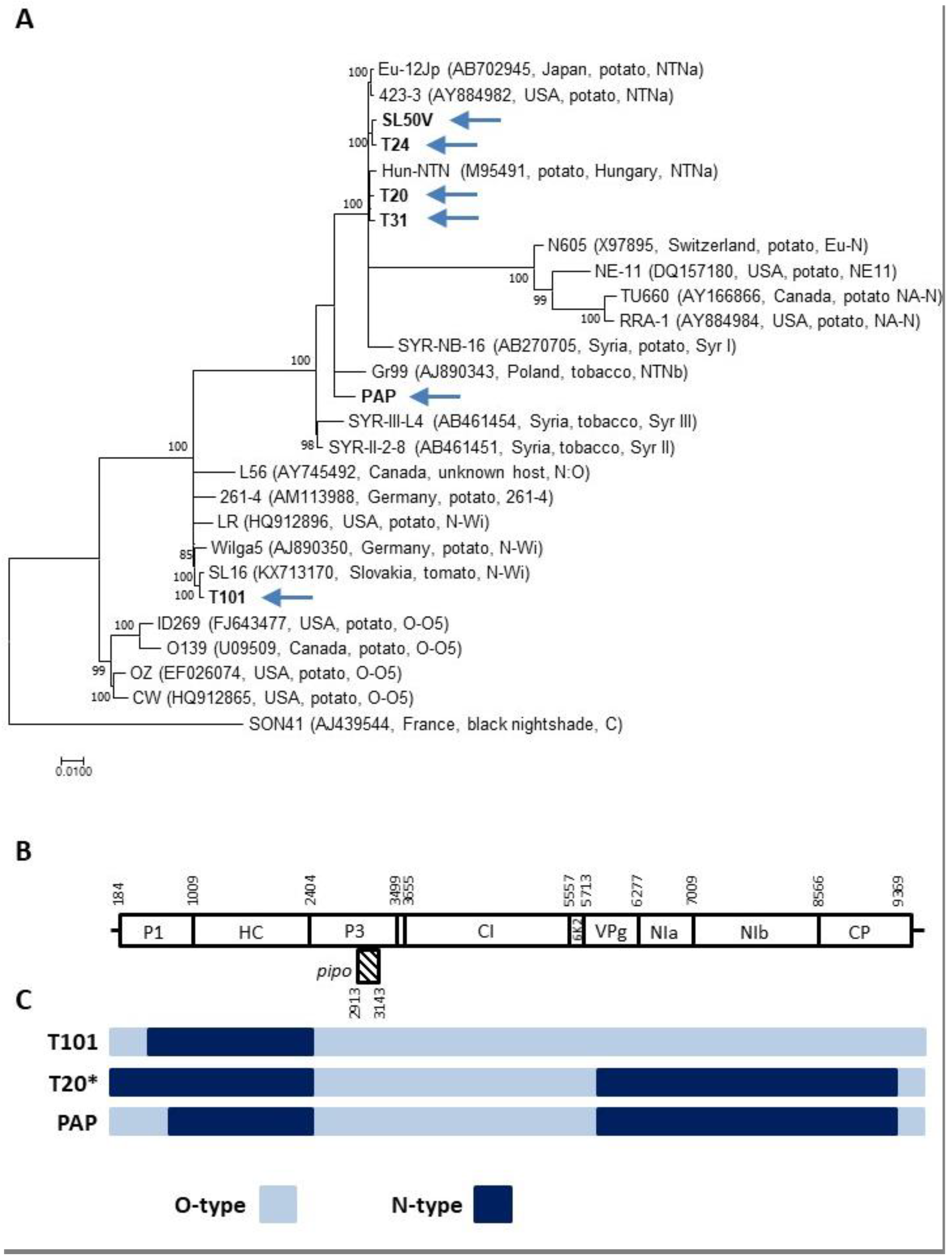 Plants 10 00753 g001
