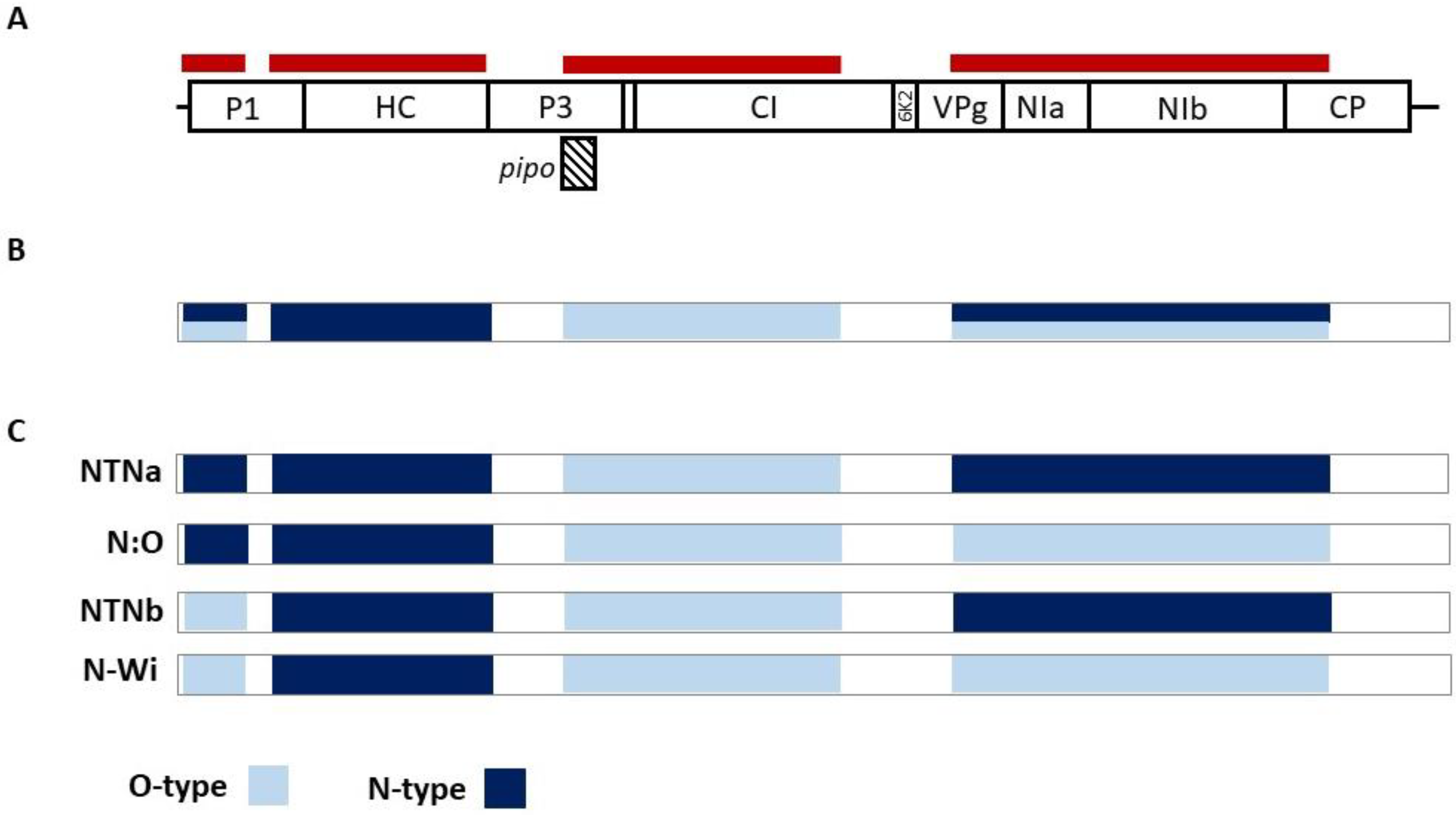 Plants 10 00753 g002