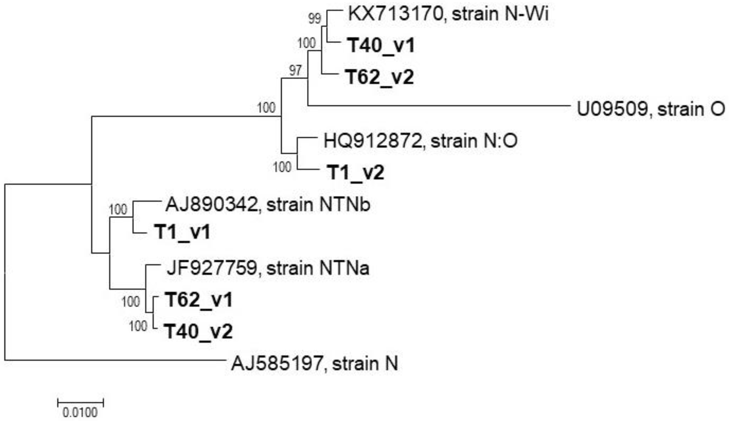 Plants 10 00753 g003