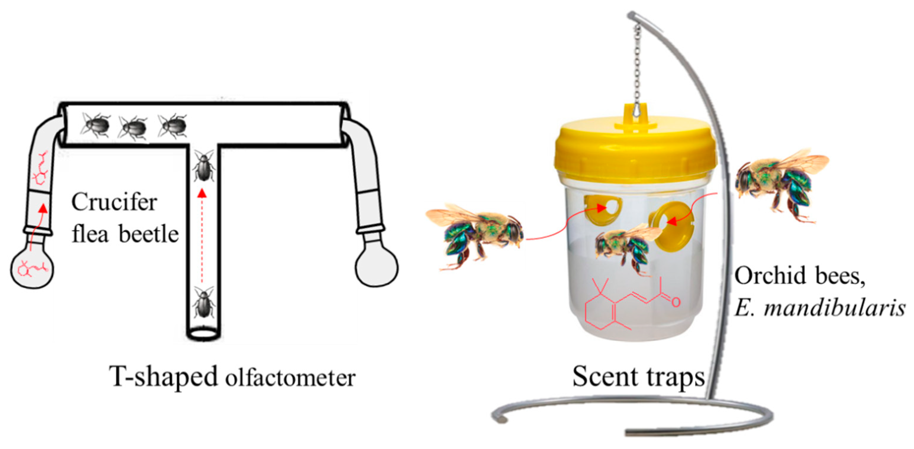 Plants 10 00754 g006