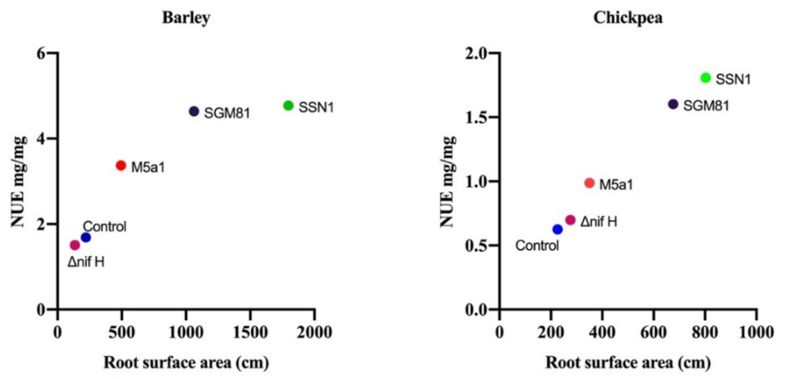 Plants 10 00780 g004