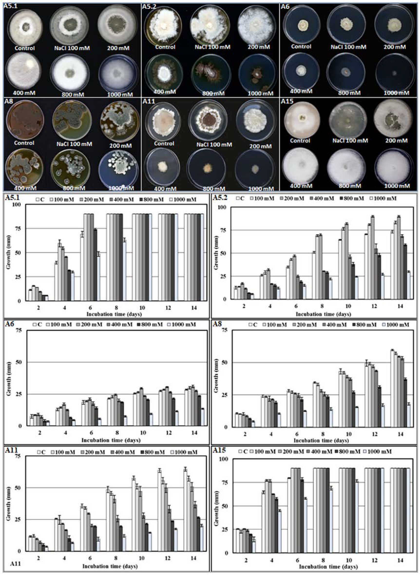 Plants 10 00784 g003