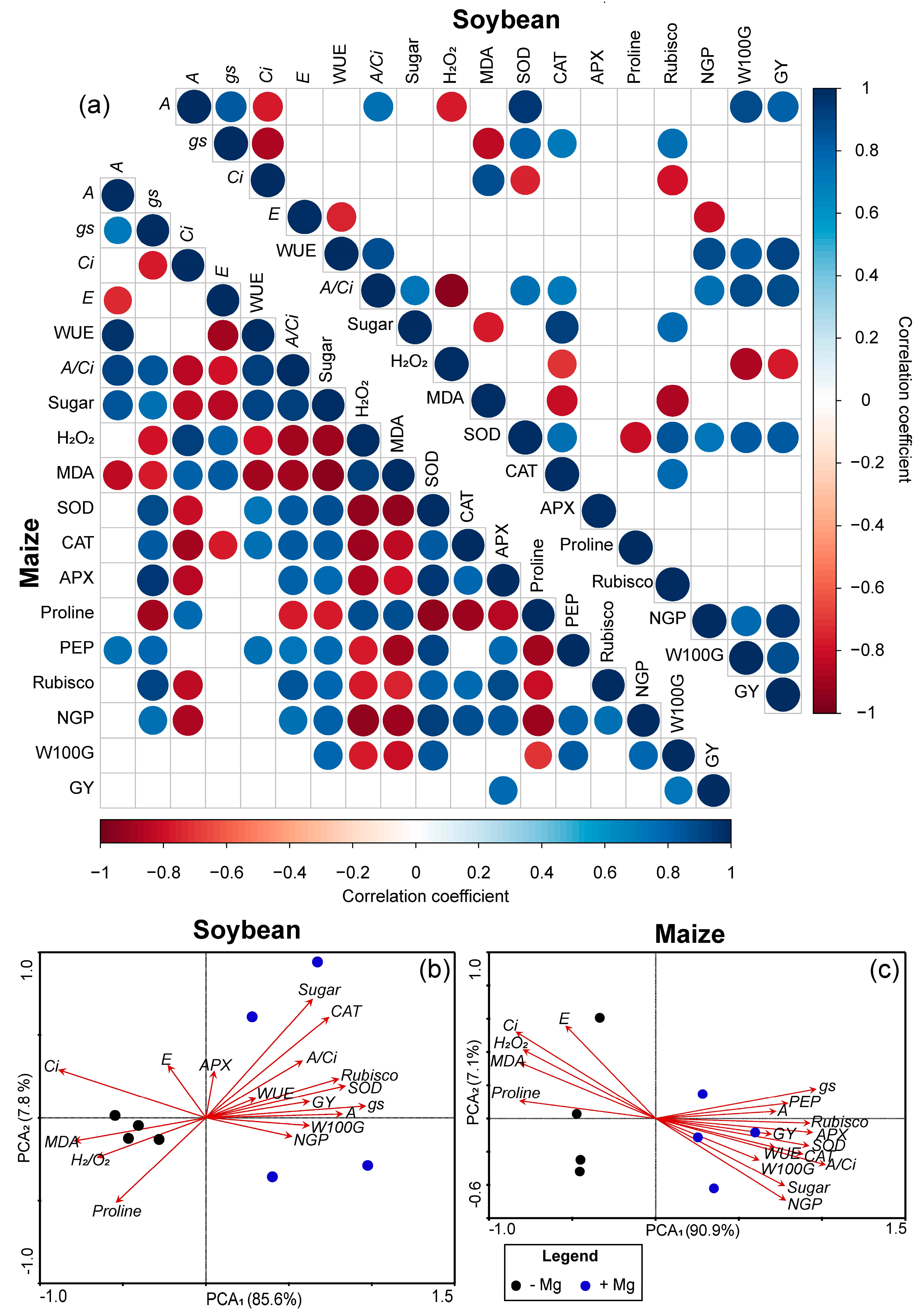 Plants 10 00797 g008 Plants 10 00797 g008
