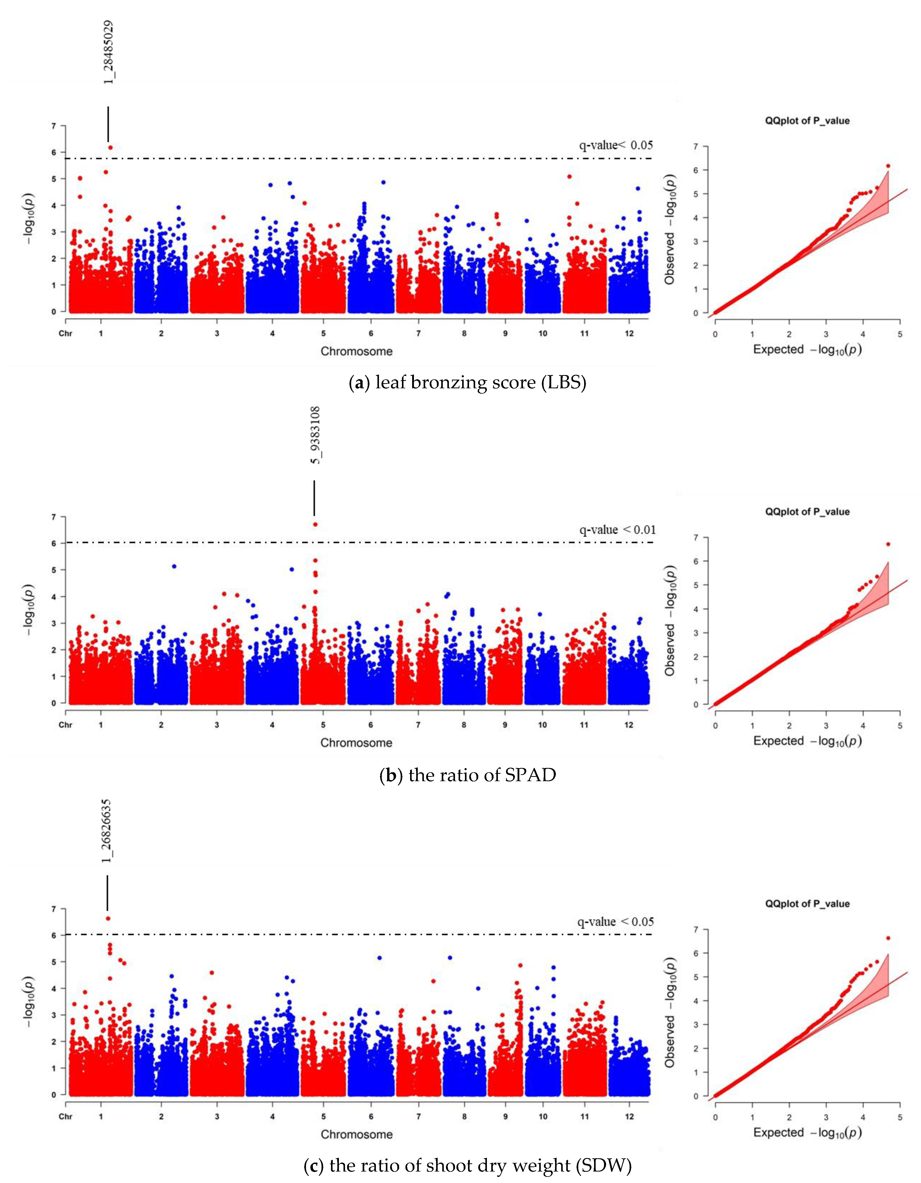Plants 10 00798 g006