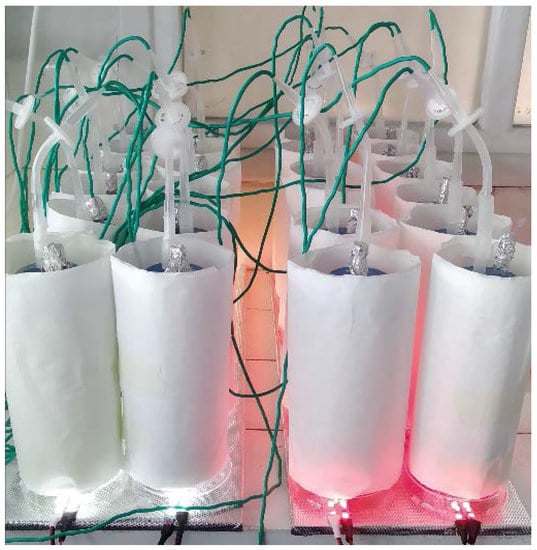 Plants 10 00799 g0a1