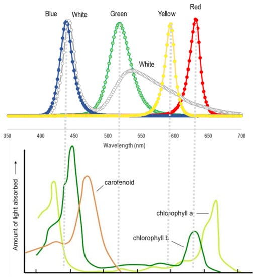 Plants 10 00799 g0a2