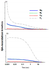 Plants 10 00799 i002