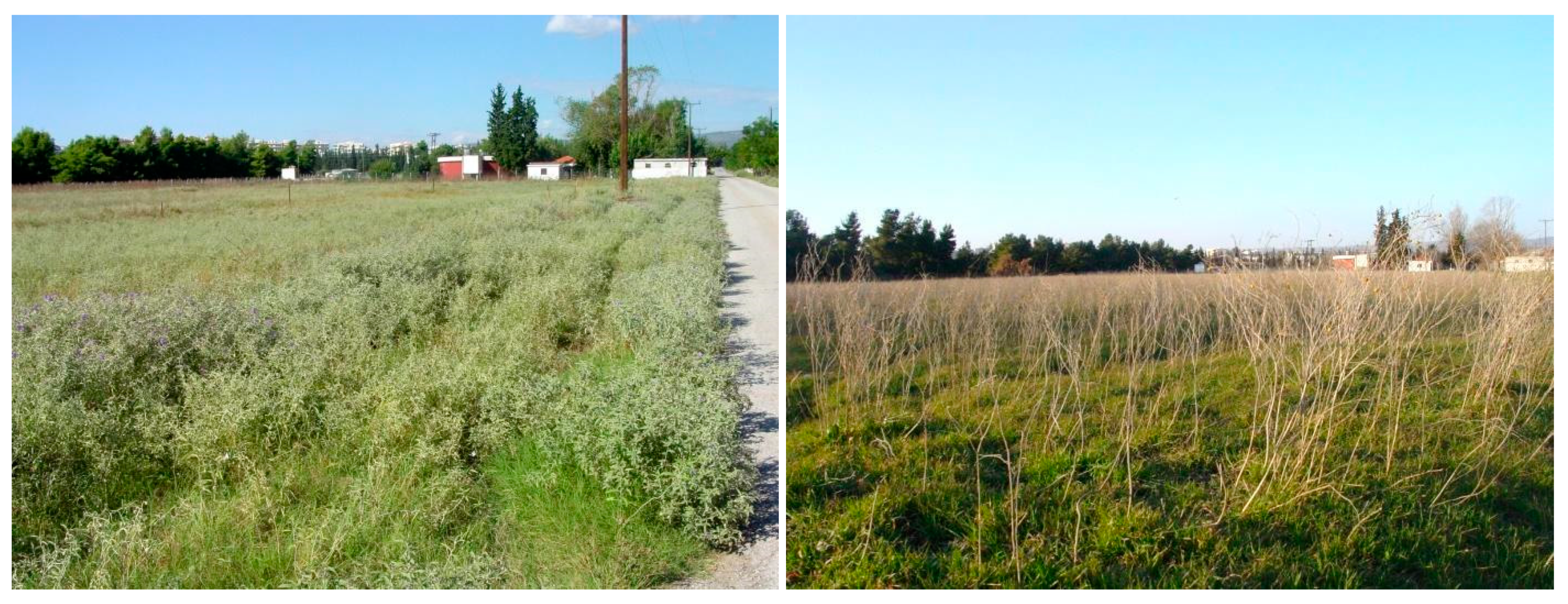 Plants 10 00805 g007