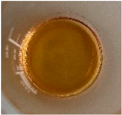 Plants 10 00828 i001 Plants 10 00828 i001