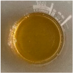 Plants 10 00828 i003 Plants 10 00828 i003