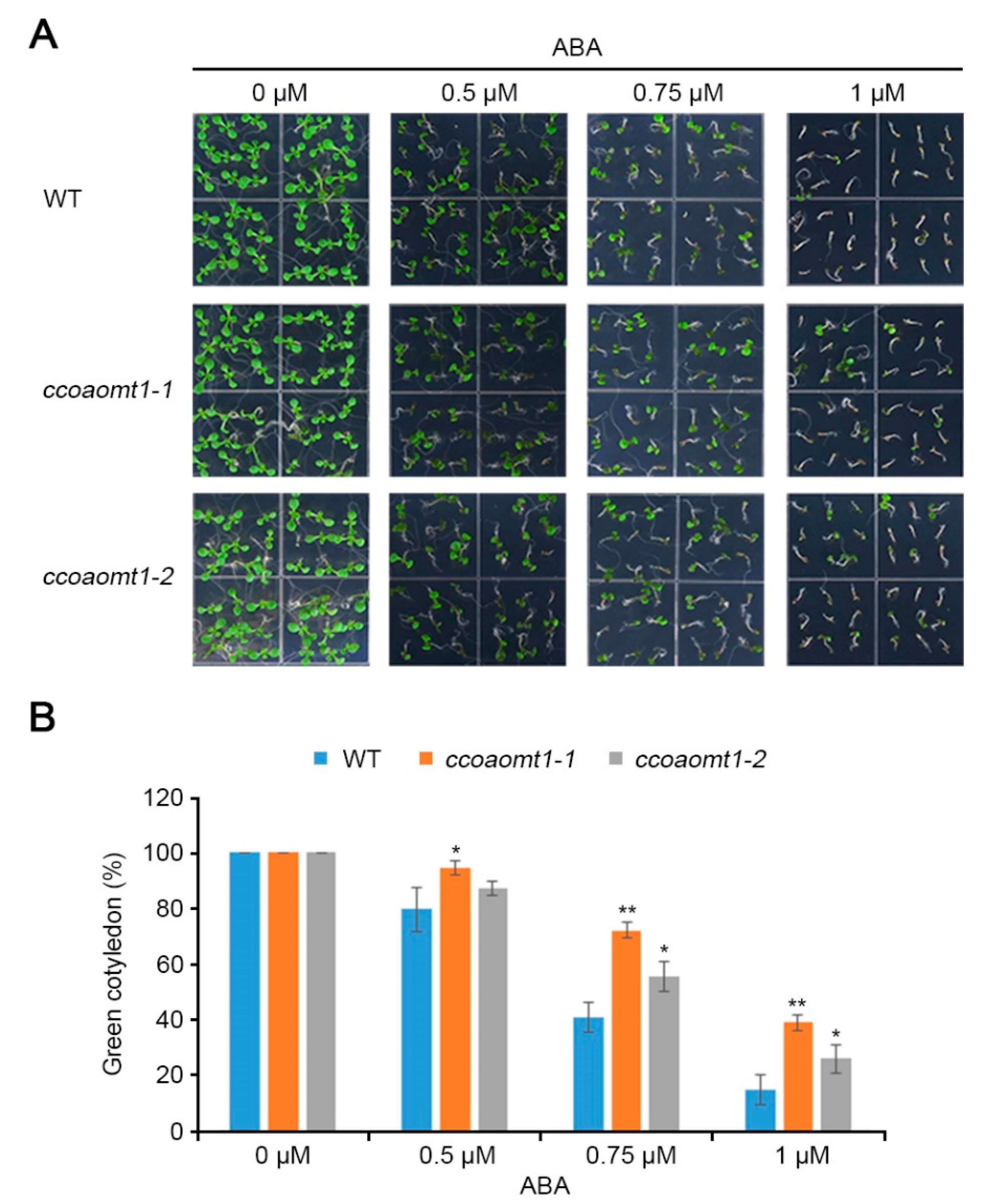 Plants 10 00831 g006 Plants 10 00831 g006