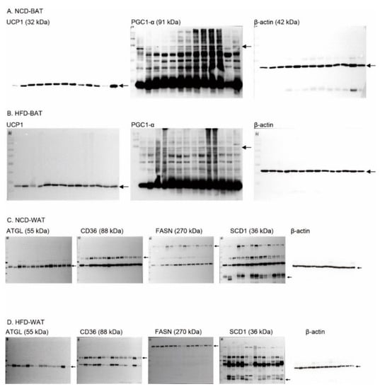 Plants 10 00837 g0a1